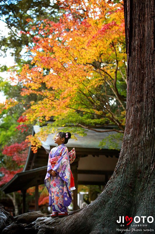 手向山八幡宮で七五三出張撮影