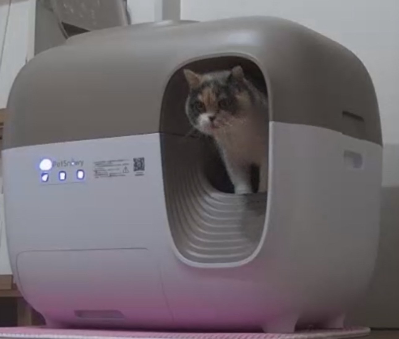 買ってよかったにゃんグッズ②PetSnowy 自動トイレ｜ナノハ