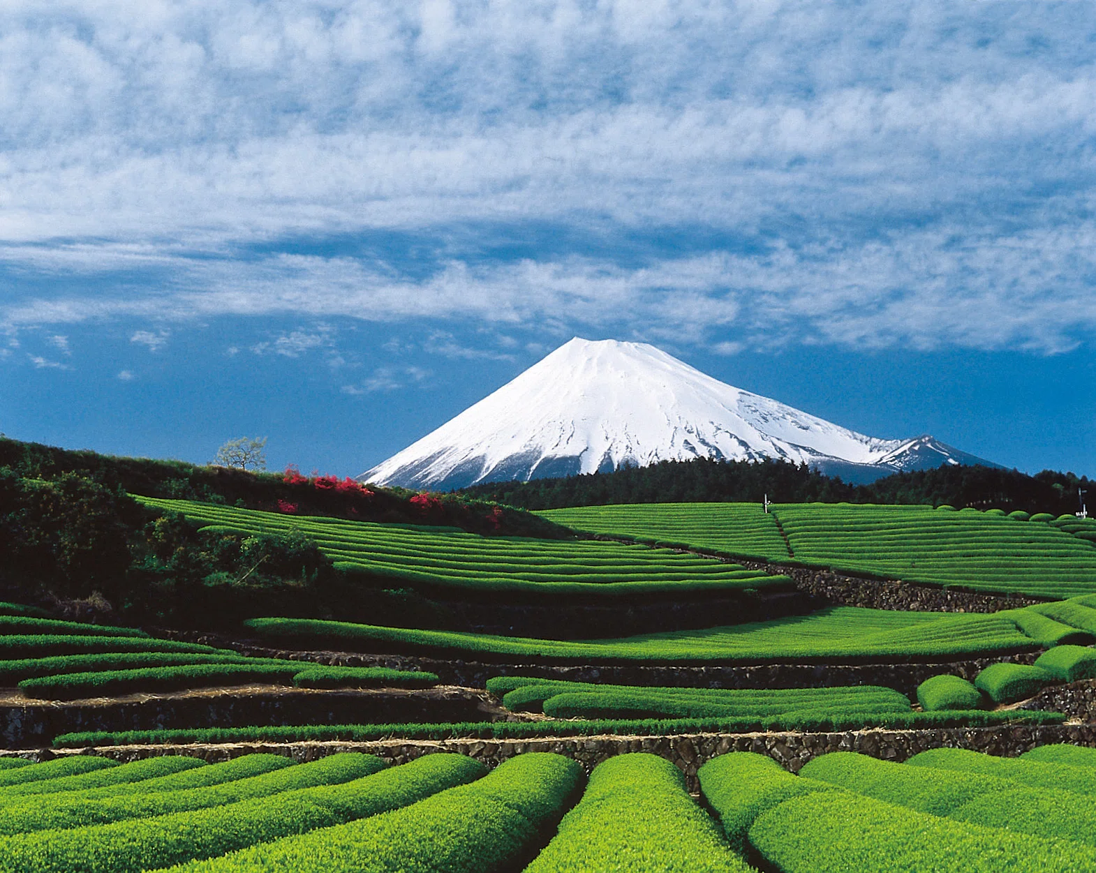 0198 最高の霊峰にして世界に誇る日本の名峰「富士山」（静岡県