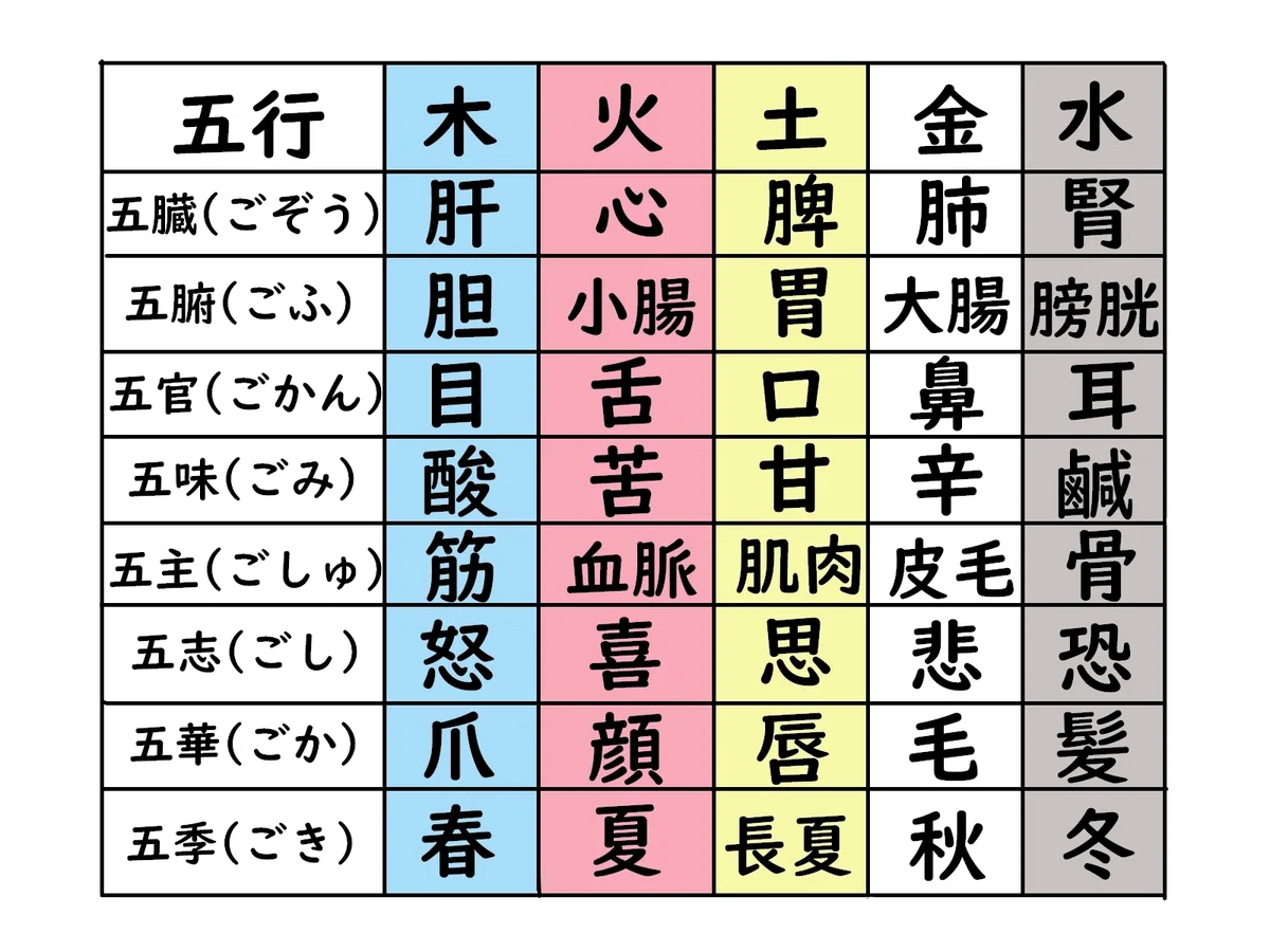 [The Master of Digestion and Absorption] The Functions of the 