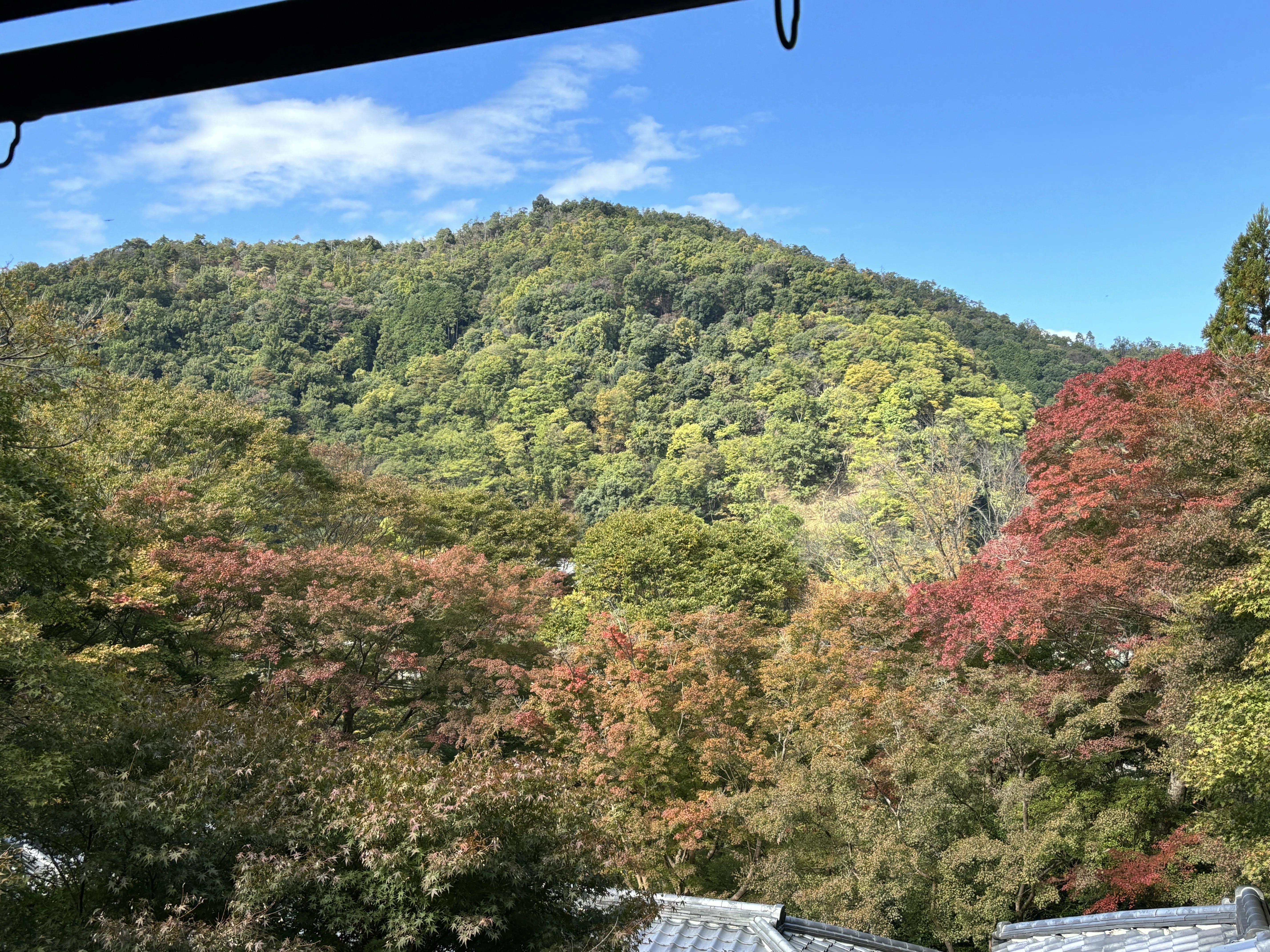 秋の京都ひとりで日帰り旅をしてきたよ｜ろーず