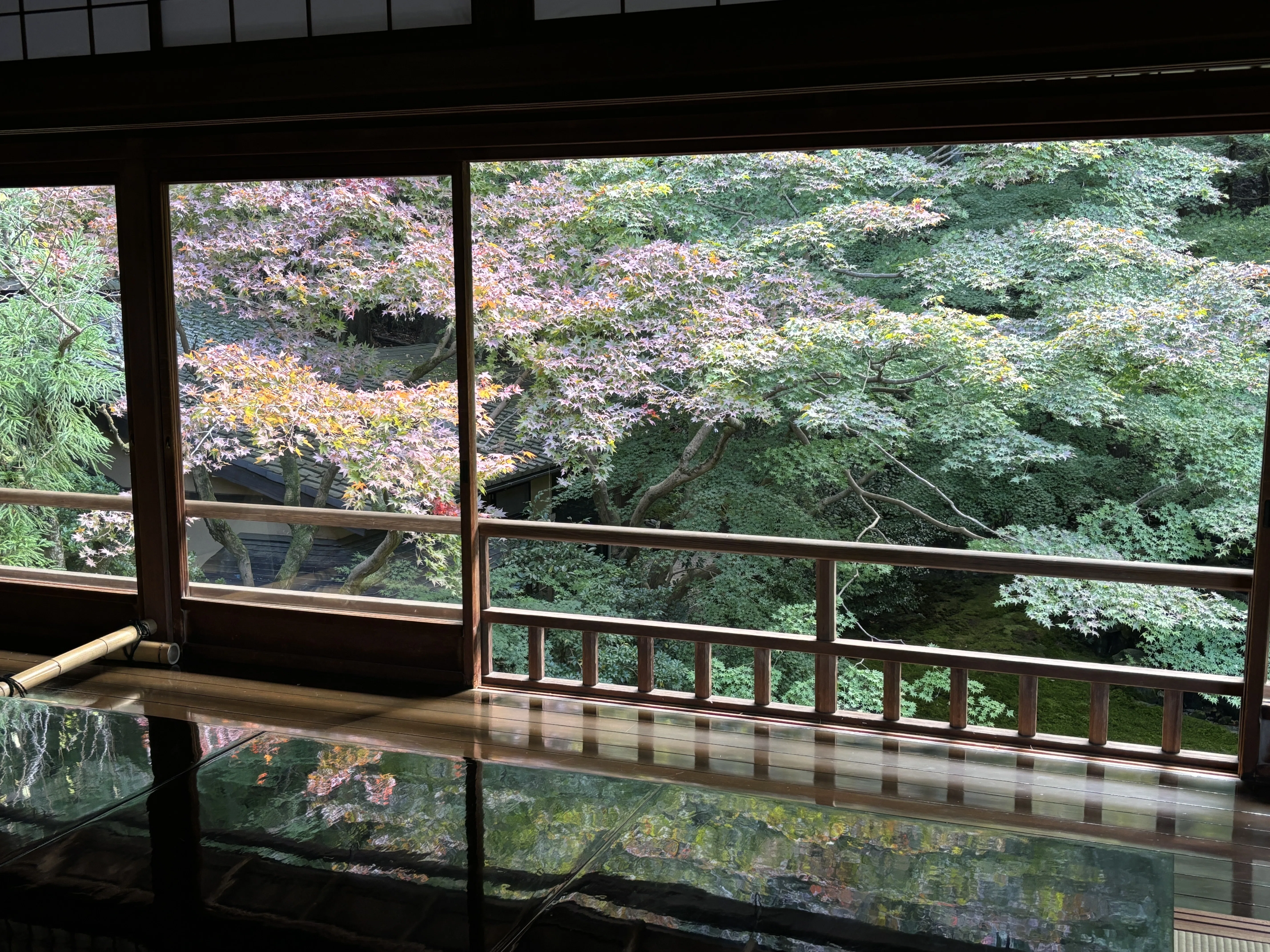 秋の京都ひとりで日帰り旅をしてきたよ｜ろーず