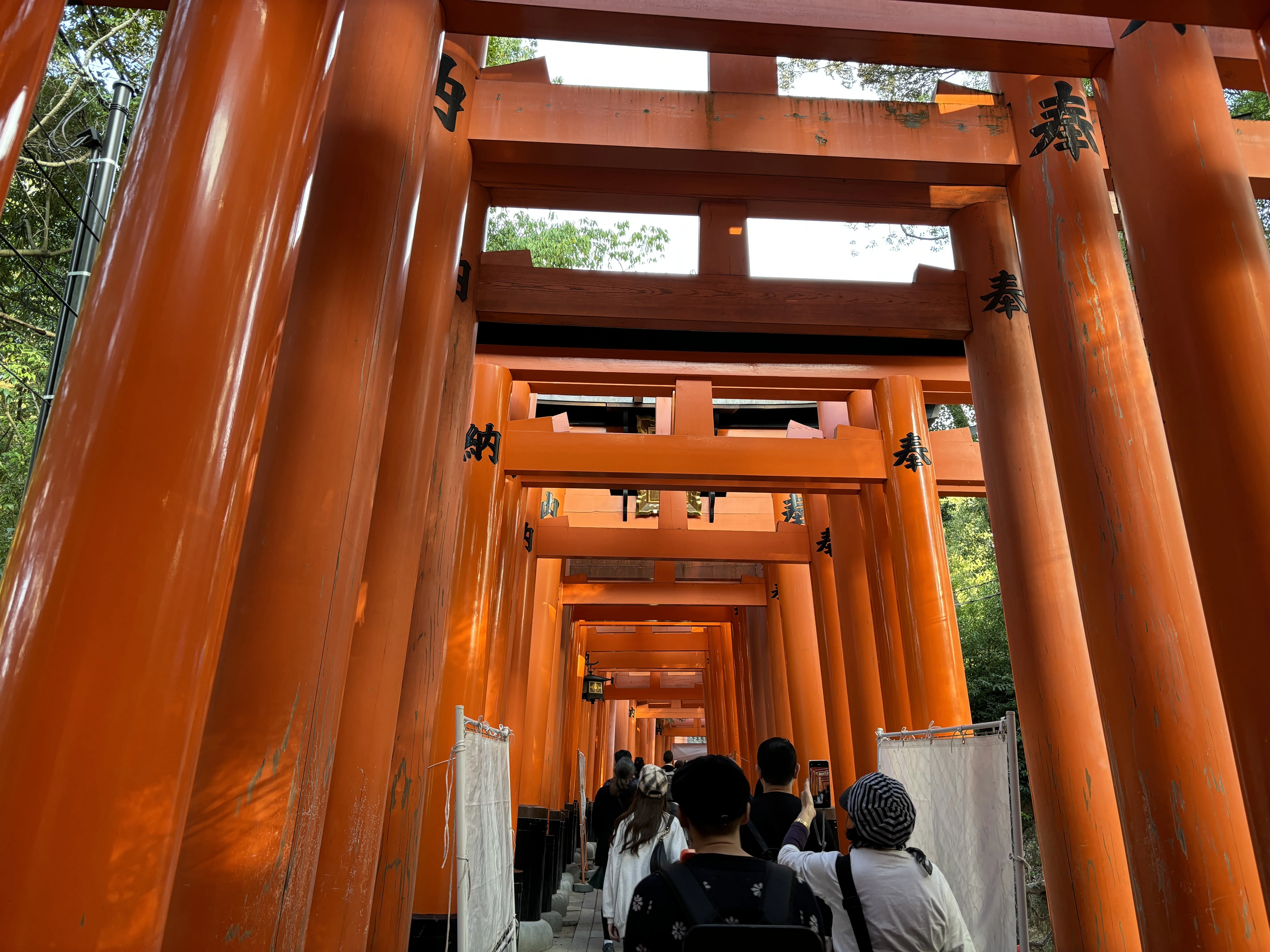 秋の京都ひとりで日帰り旅をしてきたよ｜ろーず