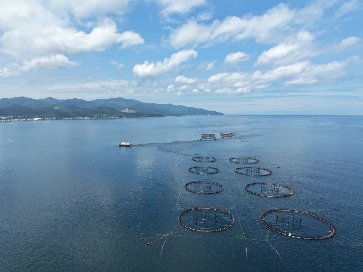 青森サーモン®養殖ダイアリー⑬ 海面養殖場のつくりかた その4(完結）いけすを運ぶ｜オカムラ食品工業