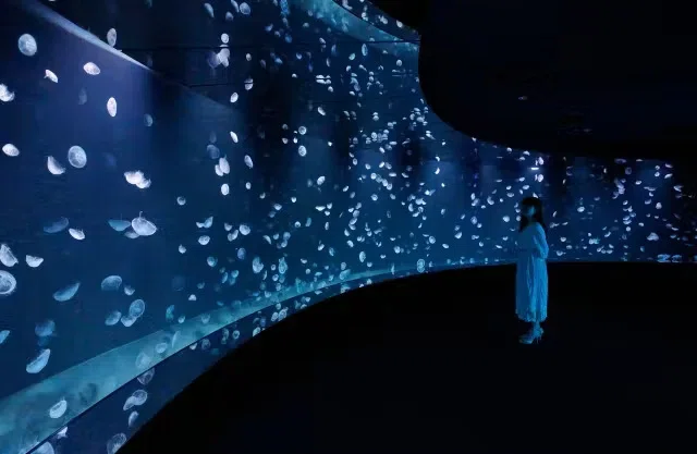 サンシャイン水族館のクラゲ
