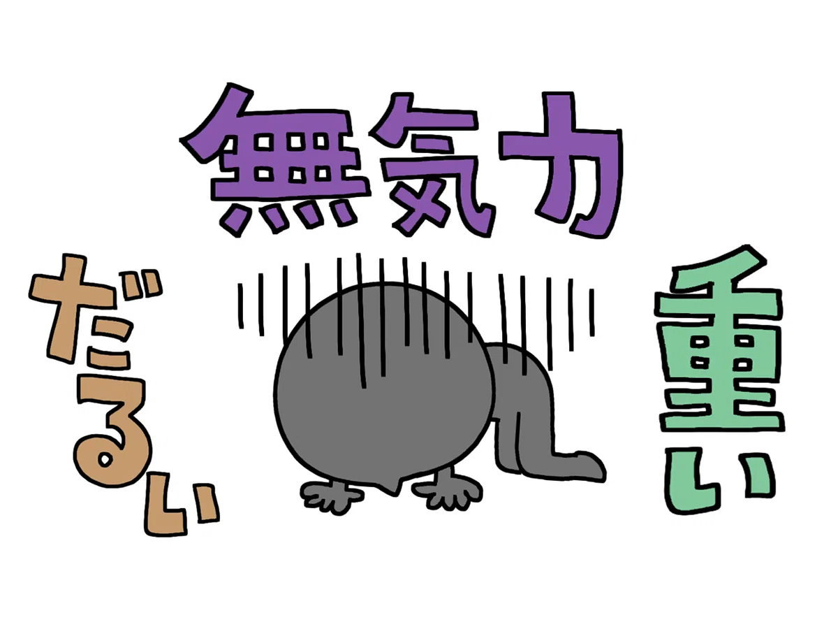 [The Master of Digestion and Absorption] The Functions of the 