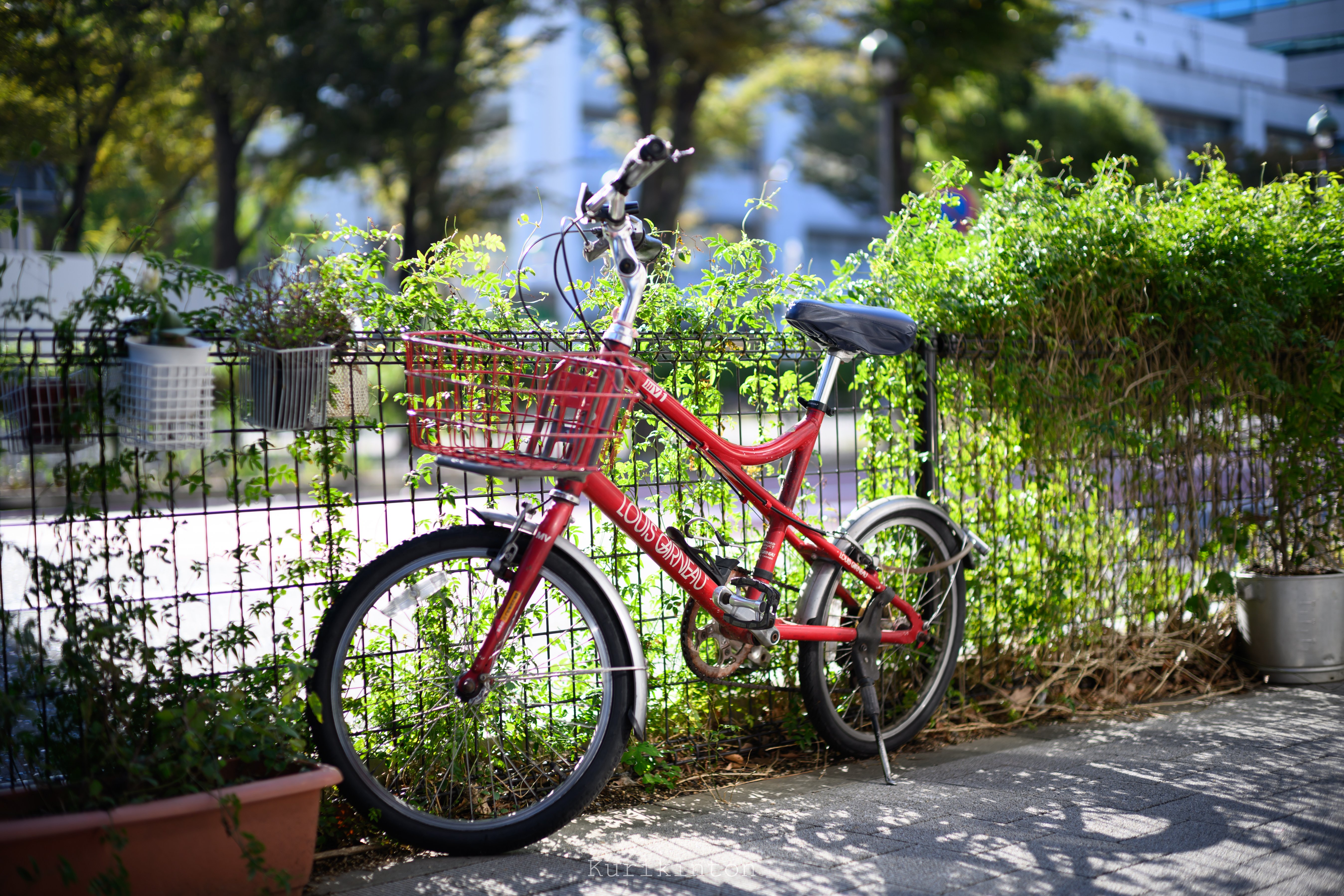 Thypoch SIMERA 50mm f1.4 Asphericalを買ってみた話｜栗きんとん