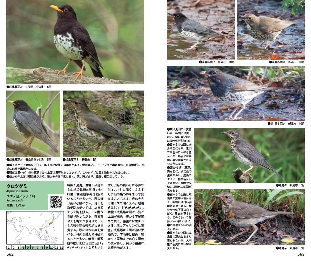 四半世紀をへて山溪ハンディ図鑑『日本の野鳥』が大改訂！ その中身は