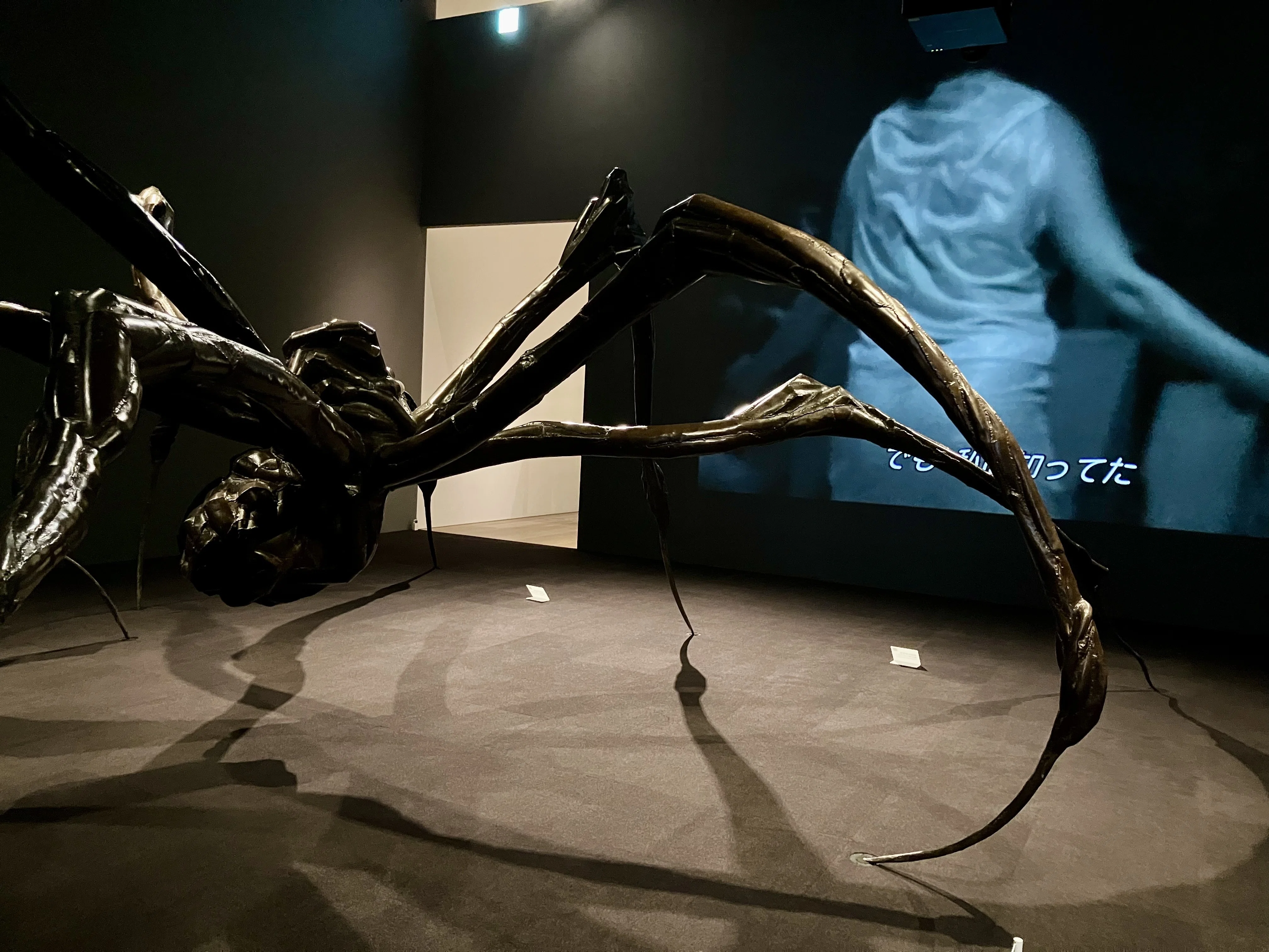 ルイーズ・ブルジョワ展】 作品一つ一つから彼女の叫びが聞こえてくる