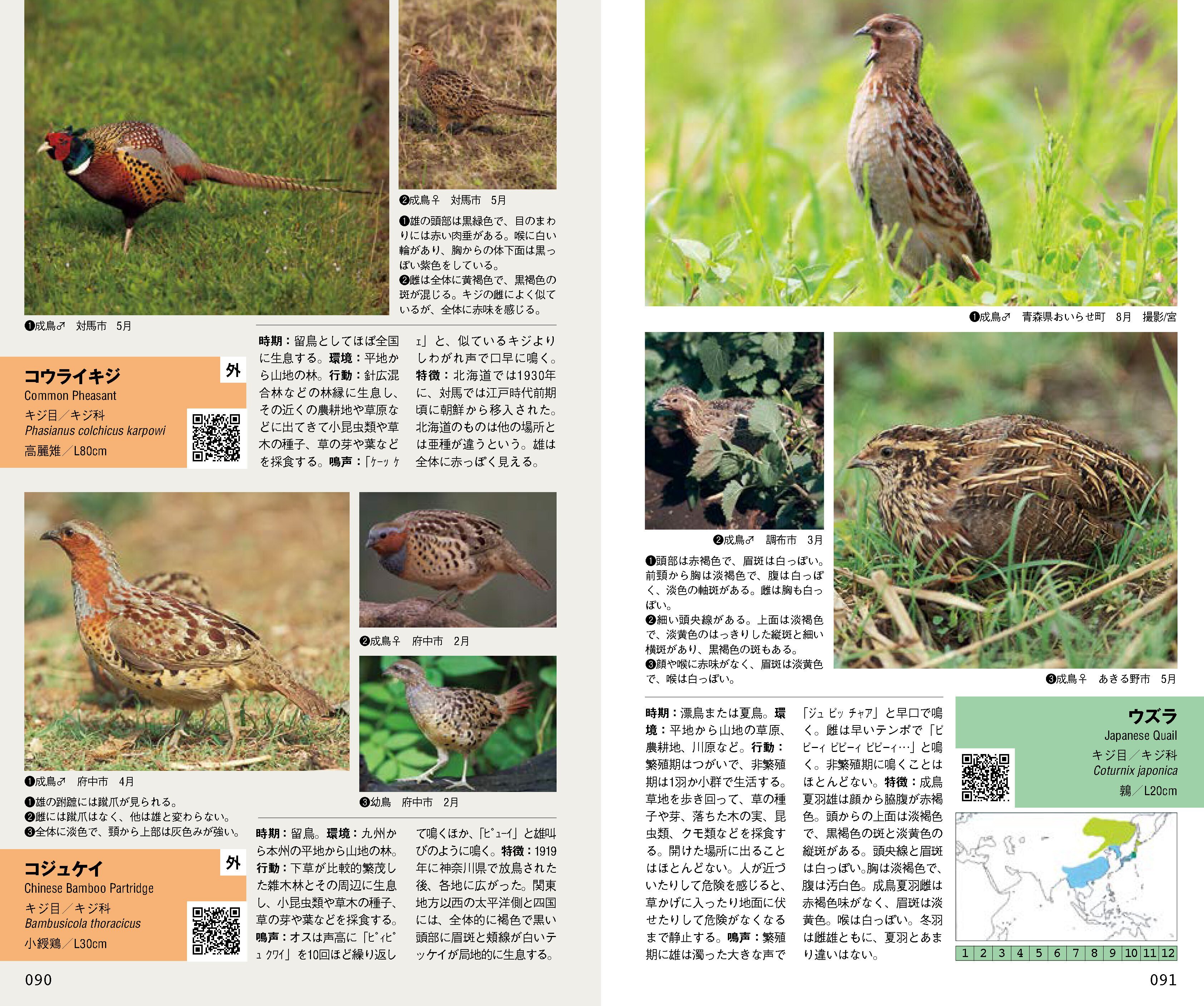 四半世紀をへて山溪ハンディ図鑑『日本の野鳥』が大改訂！ その中身は