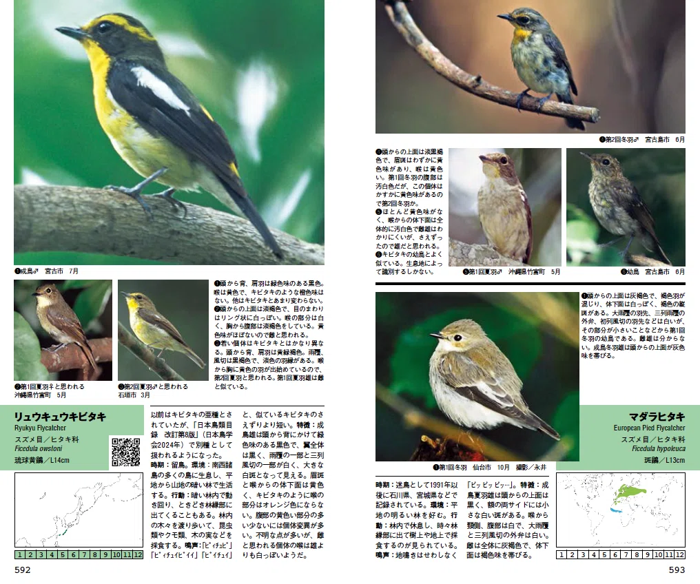 四半世紀をへて山溪ハンディ図鑑『日本の野鳥』が大改訂！ その中身は