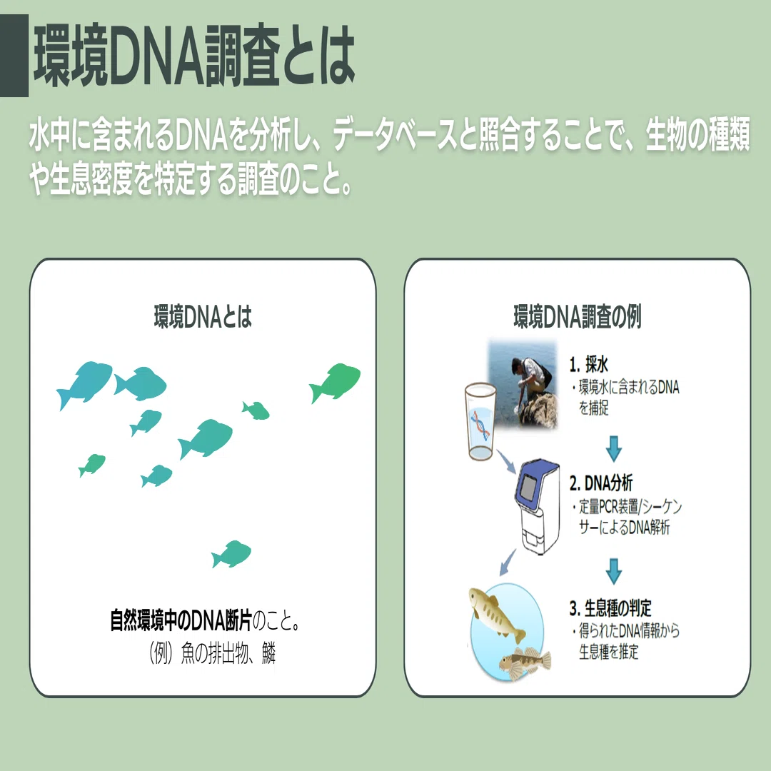 データアナリティクスで守る生物多様性～環境DNA調査とKDDIの取り組み