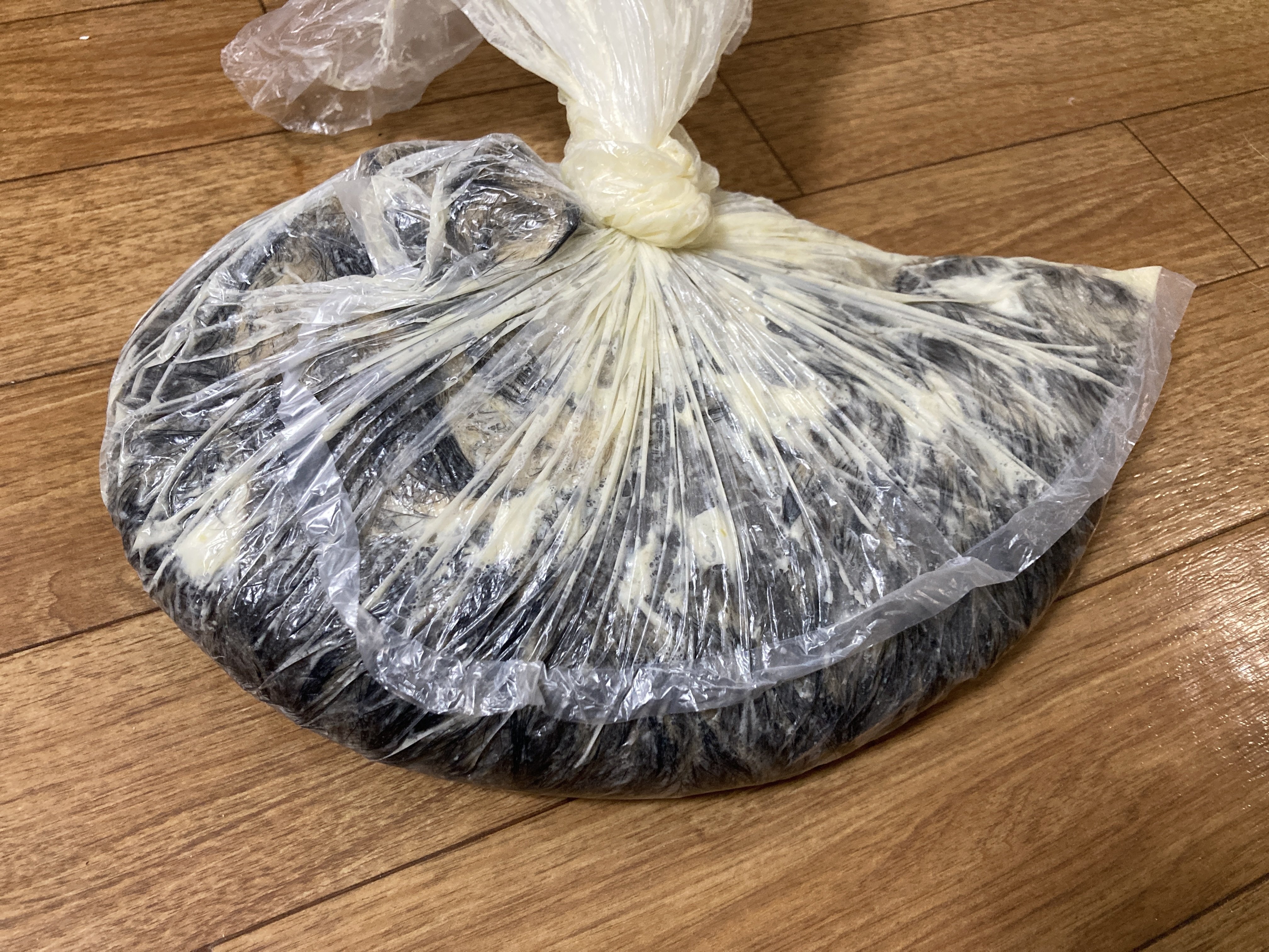 アライグマの毛皮なめし③アルミ鞣し｜黒乃