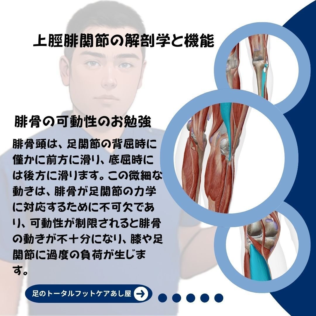 FRAT 呼吸と関節運動による機能化技法 DVD｜FRAT－呼吸と関節運動による機能化技法 ～頭蓋・胸郭・骨盤・脊柱