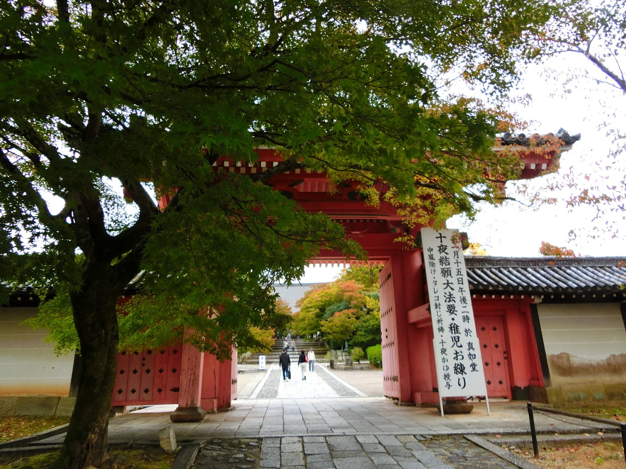 Amazon.co.jp: 林羅山（林道春）『神社考詳節』正保4年 安田