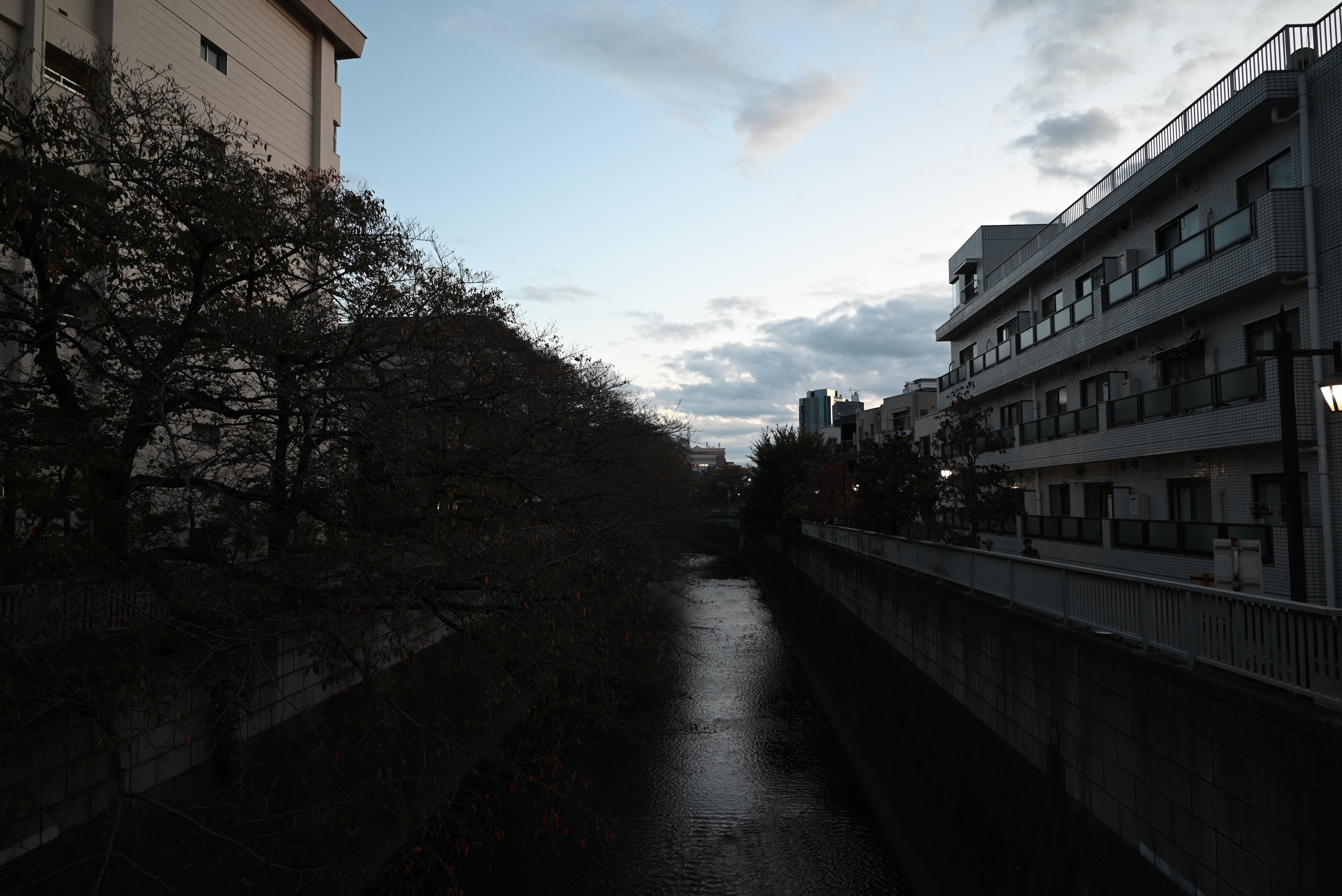 2024年11月7日、Nikon Z5、気になっていたカメラを入手!出て 2024年11月7日、Nikon Z5、気になっていたカメラを入手!出て