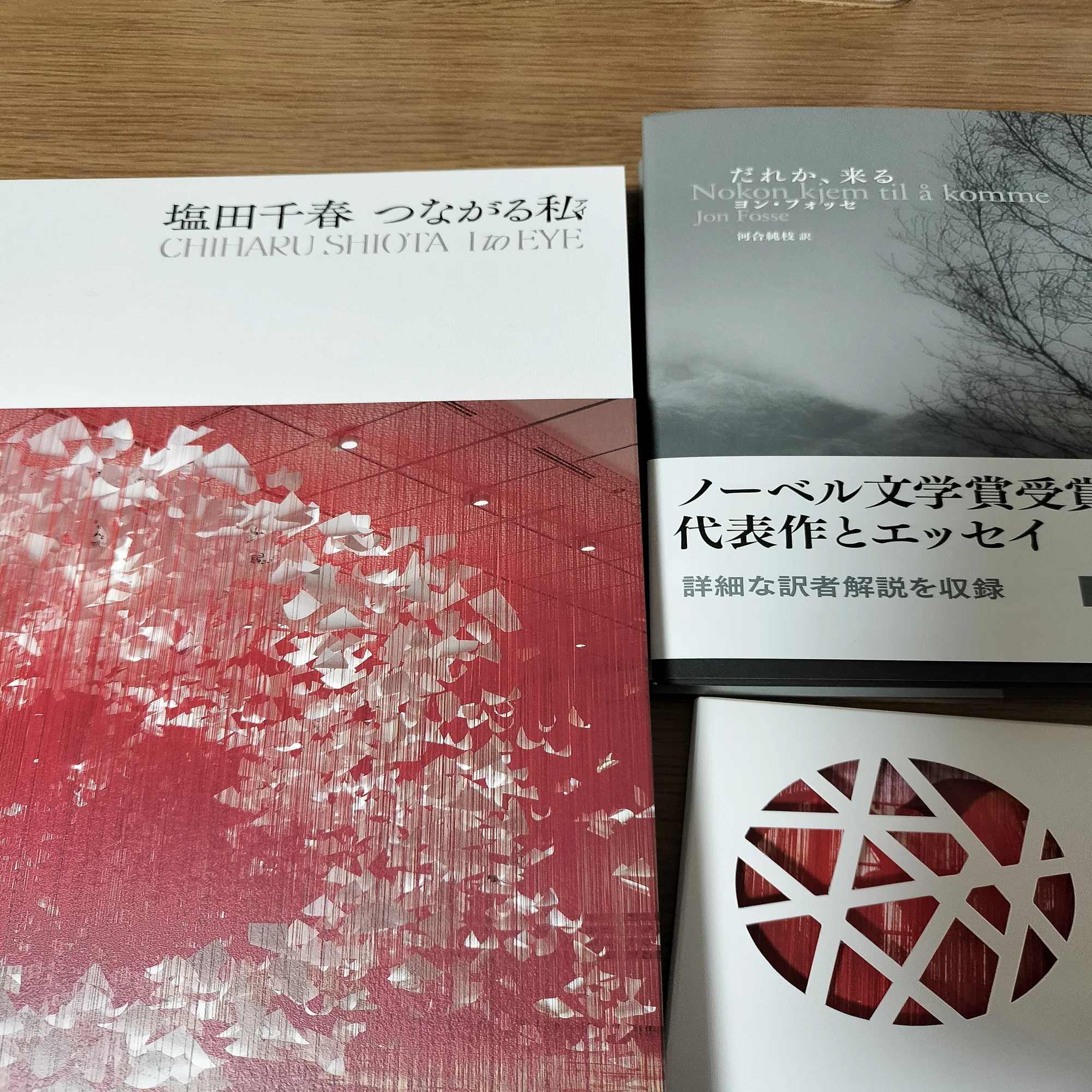 大阪中之島美術館『塩田千春 つながる私（アイ）』｜icchan