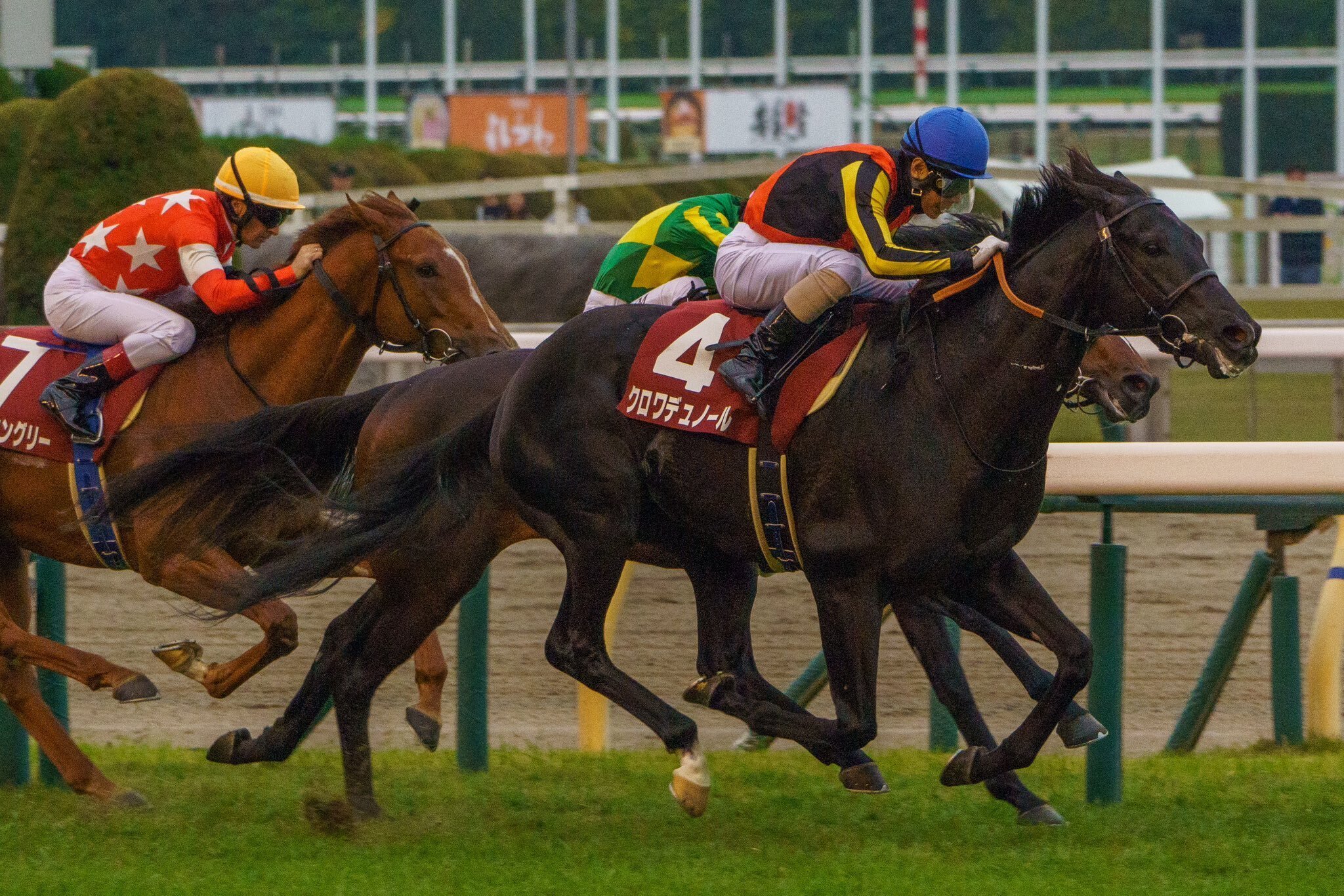 東スポ杯2歳S】1番人気のクロワデュノールが無傷2連勝で出世