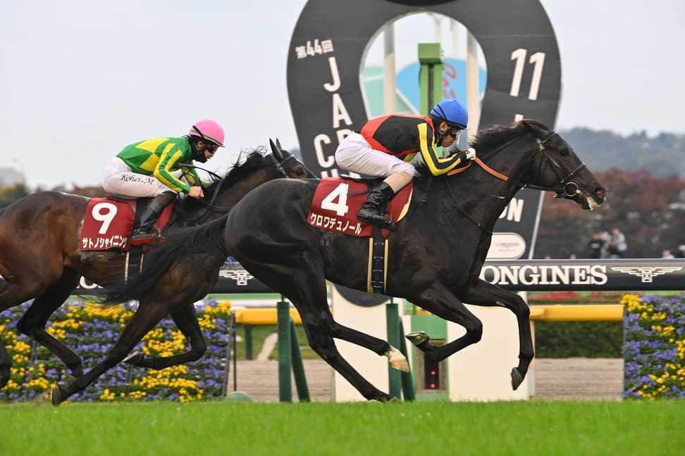 東京スポーツ杯2歳S（GⅡ）回顧】推奨馬クロワデュノール1着～ウ～ン