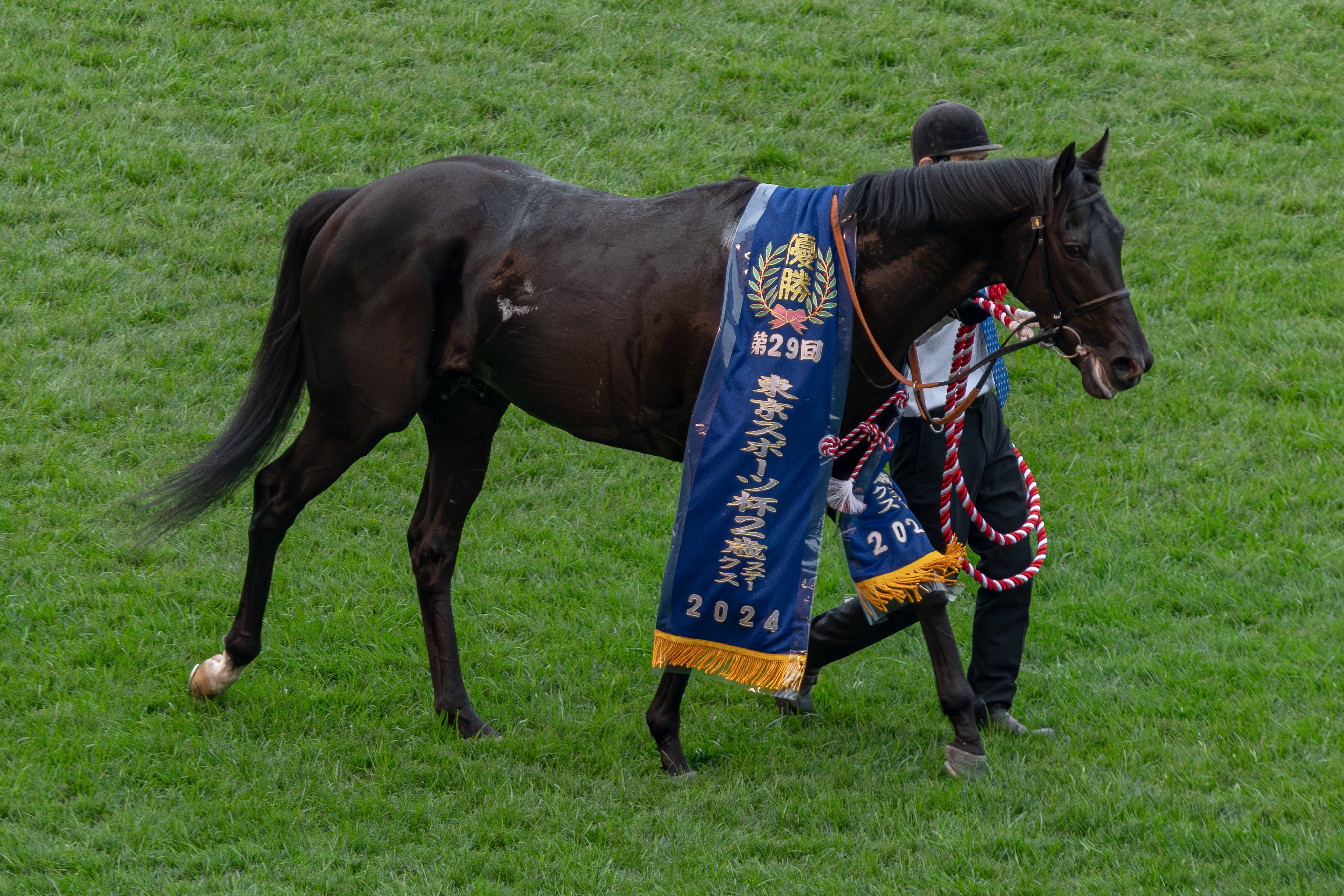 クロワデュノール　メイクデビュー東京　現地的中単勝馬券　東スポ杯2歳S制覇！ OOVHFPCYFNJRZNJABQHX7G5PFY.jpg