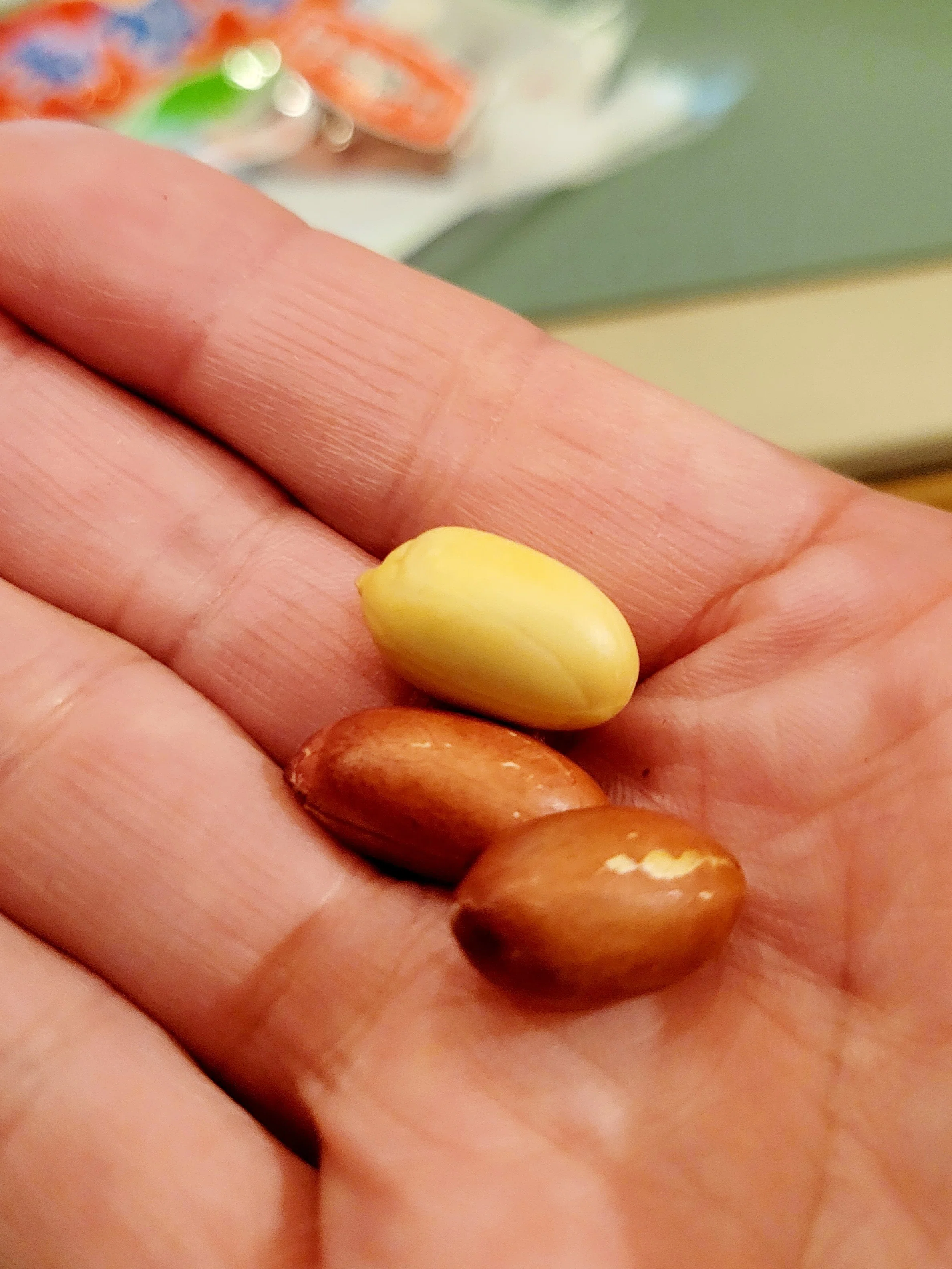 初めて食べたかも！？ 新豆 純千葉産 房総の落花生🥜｜Yukihiro🧸