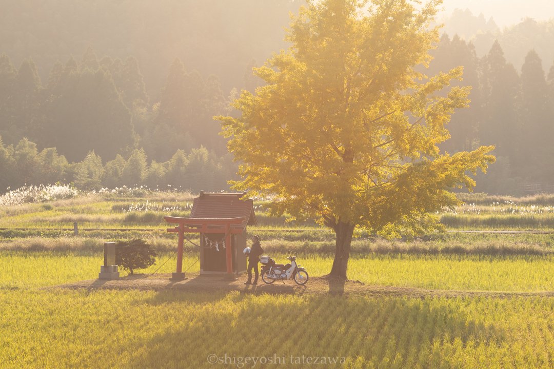 素朴で懐かしい・・・は、あたたかい風景だ｜立澤重良