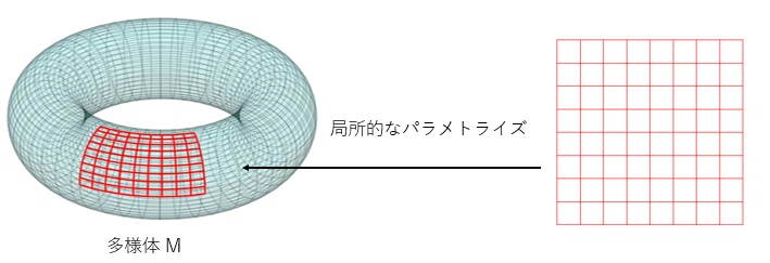 ネコでも分かる情報幾何学入門 part2 ～微分幾何速習～｜MUTEI