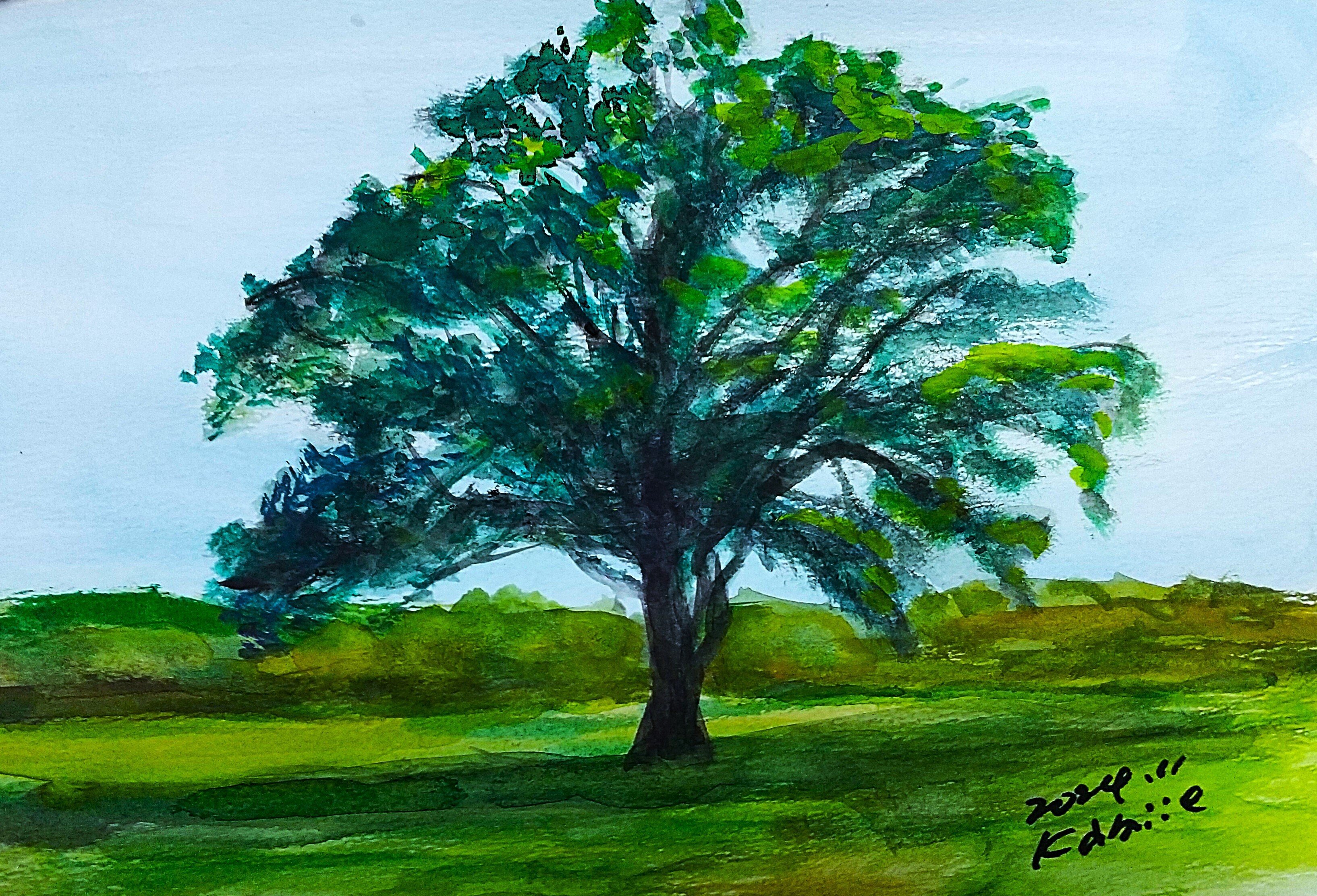 ハルニレの木(豊頃町)｜北海道の熊おやじ〜北海道の179市町村の歴史と