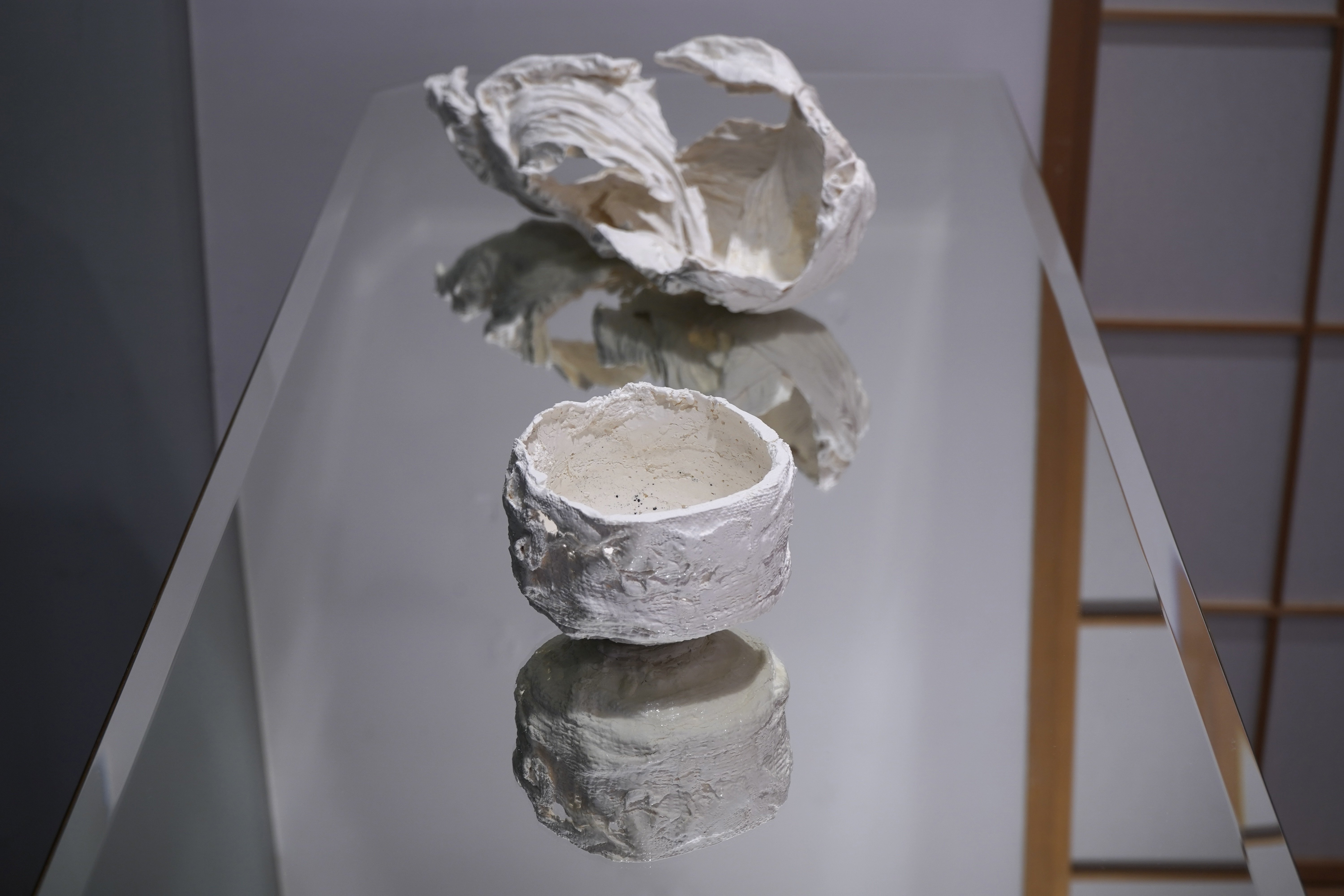 陶・津田友子個展『記憶は動く』 / 作家インタビュー｜白白庵