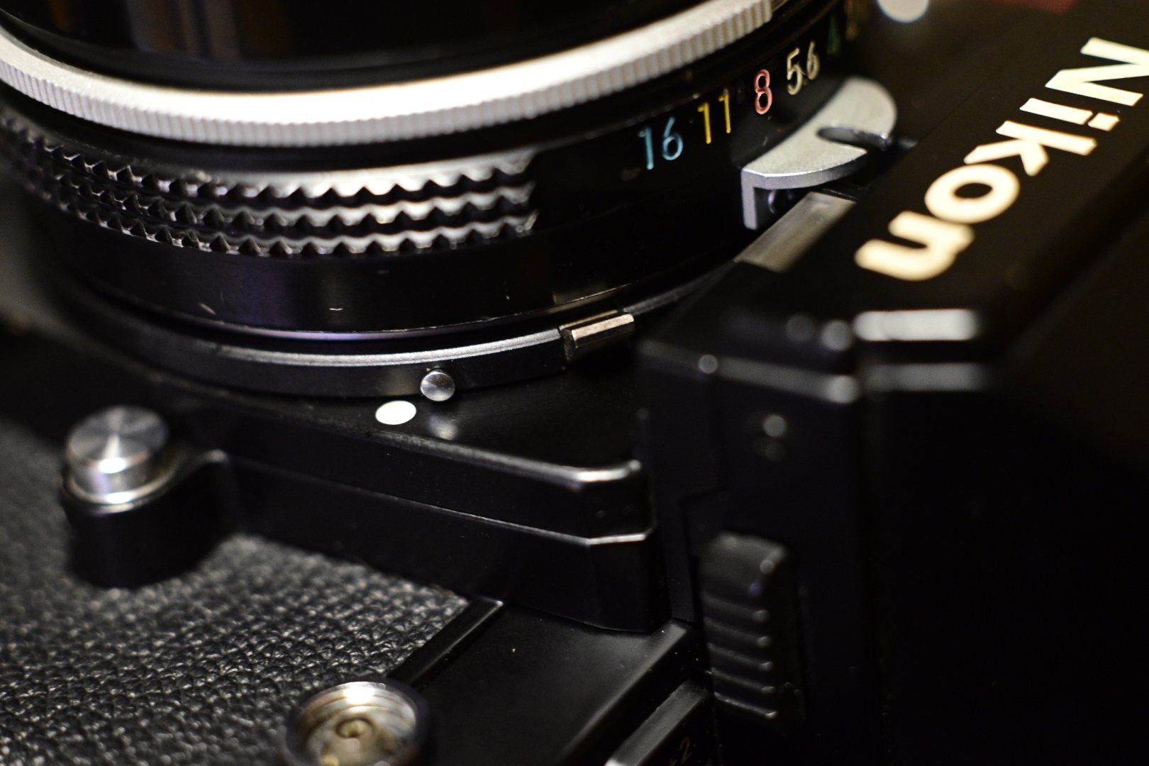 20年ぶりのNikon F3|ダイチ 20年ぶりのNikon F3|ダイチ
