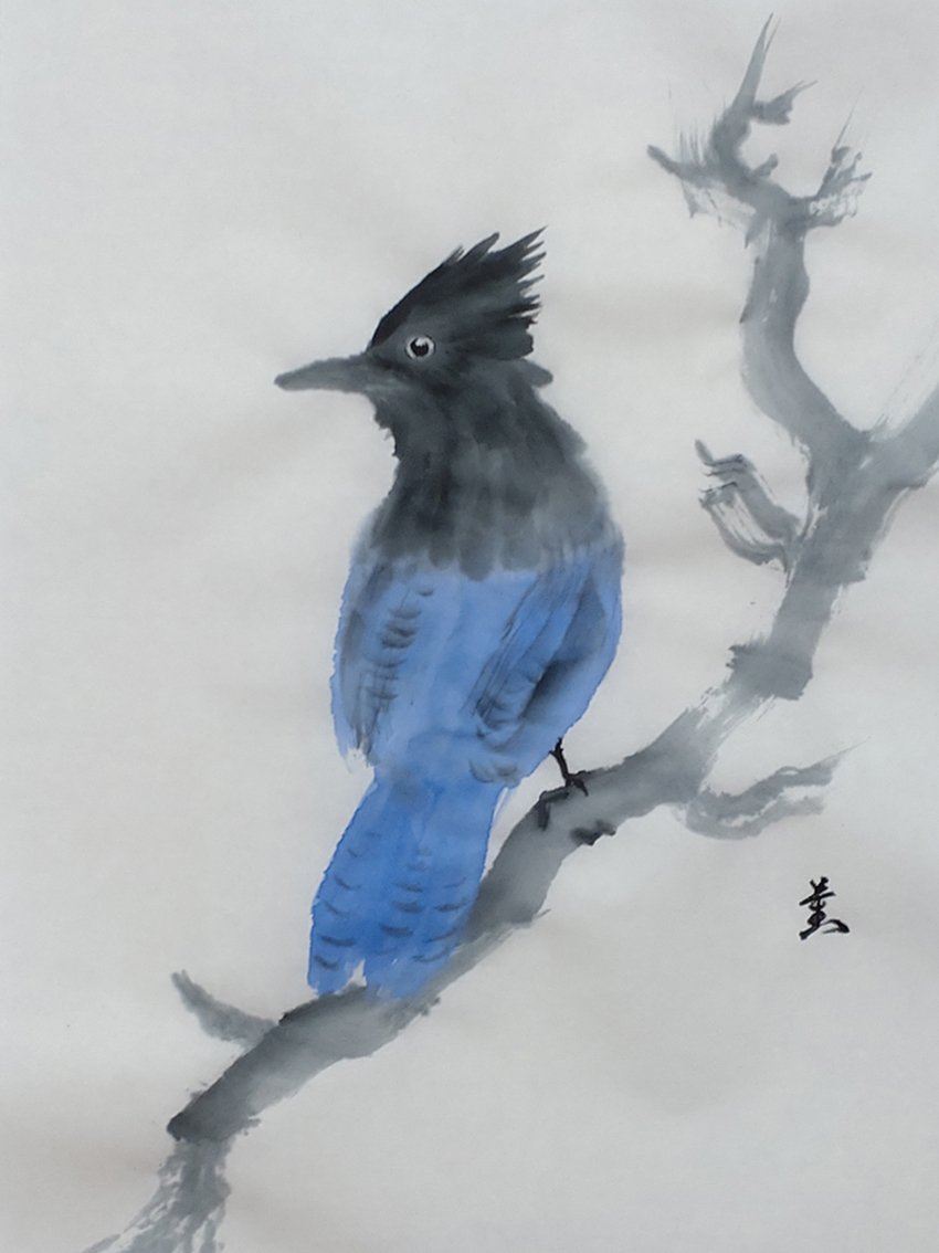 墨でステラーカケス／墨と顔彩｜KaoRu IsjDha