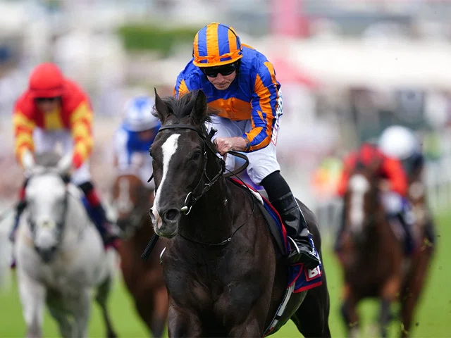 JRA GⅠ参戦海外馬分析④】オーギュストロダン｜TSUBA