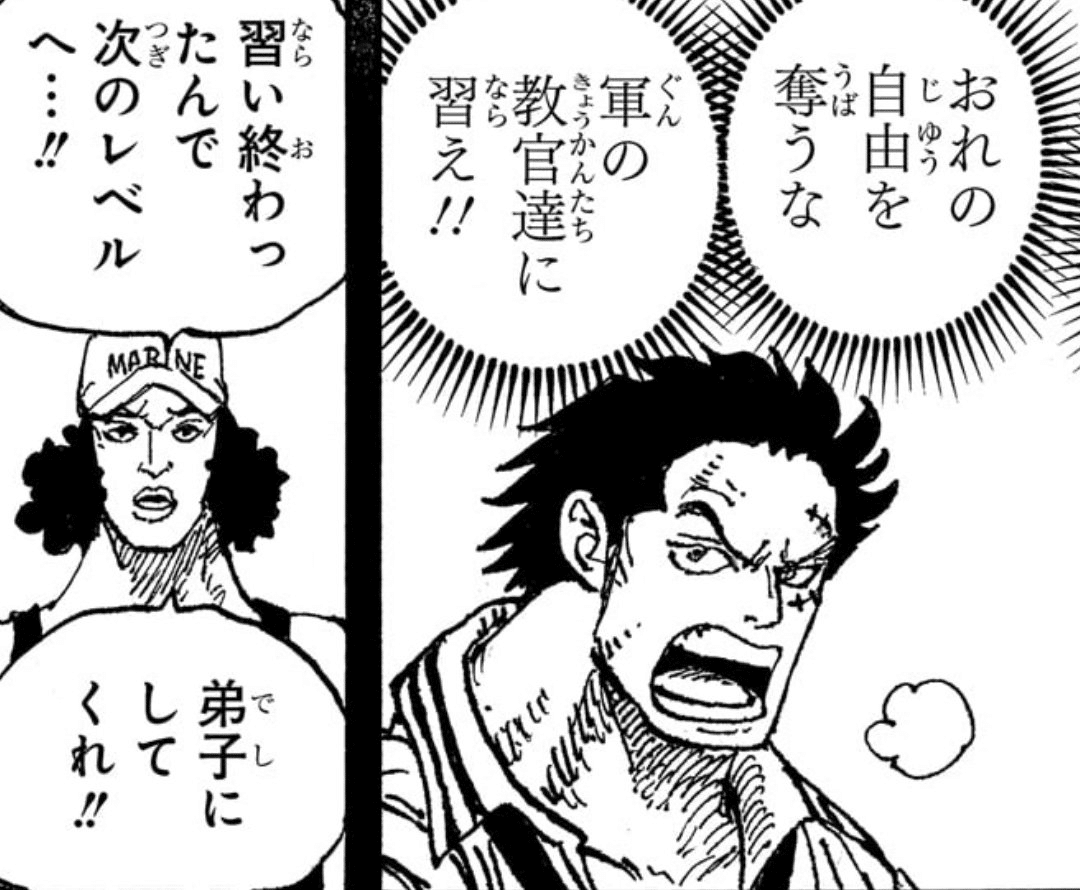 赤犬と青雉が「同期」という話について｜ハンセイ