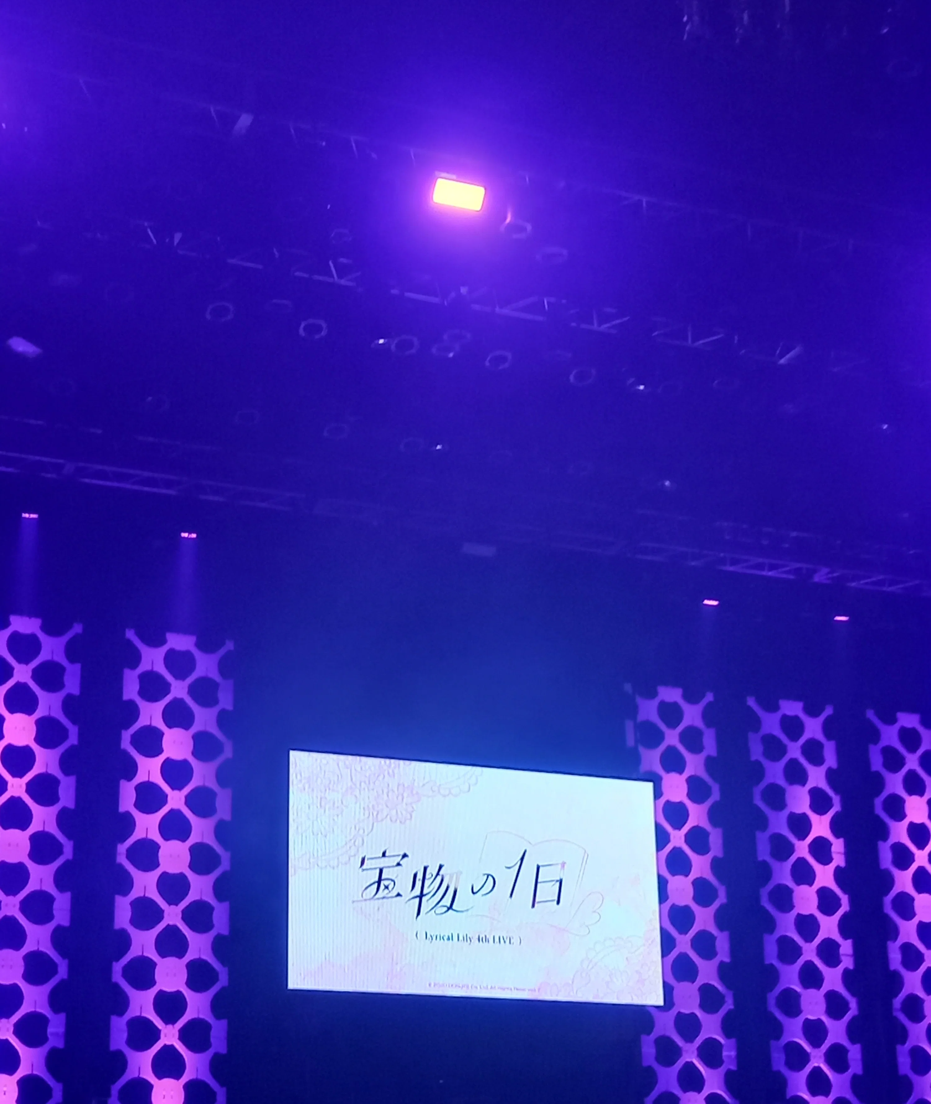 lilly❤︎‪︎様（リピーター様5点おまとめ） スロットからLyrical Lilyを知った男が初めてライブに行った話