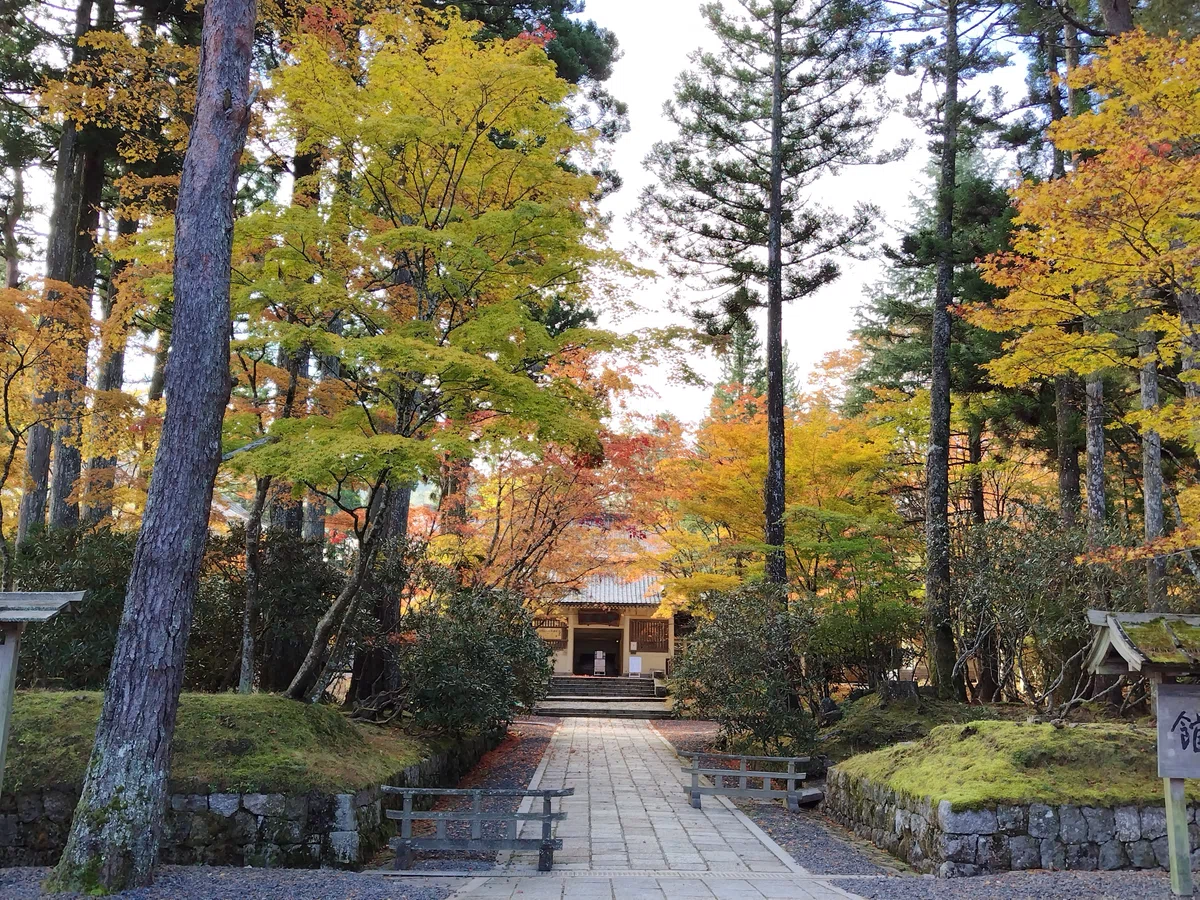 Information regarding the November Monthly Jizo Service.｜圓珠