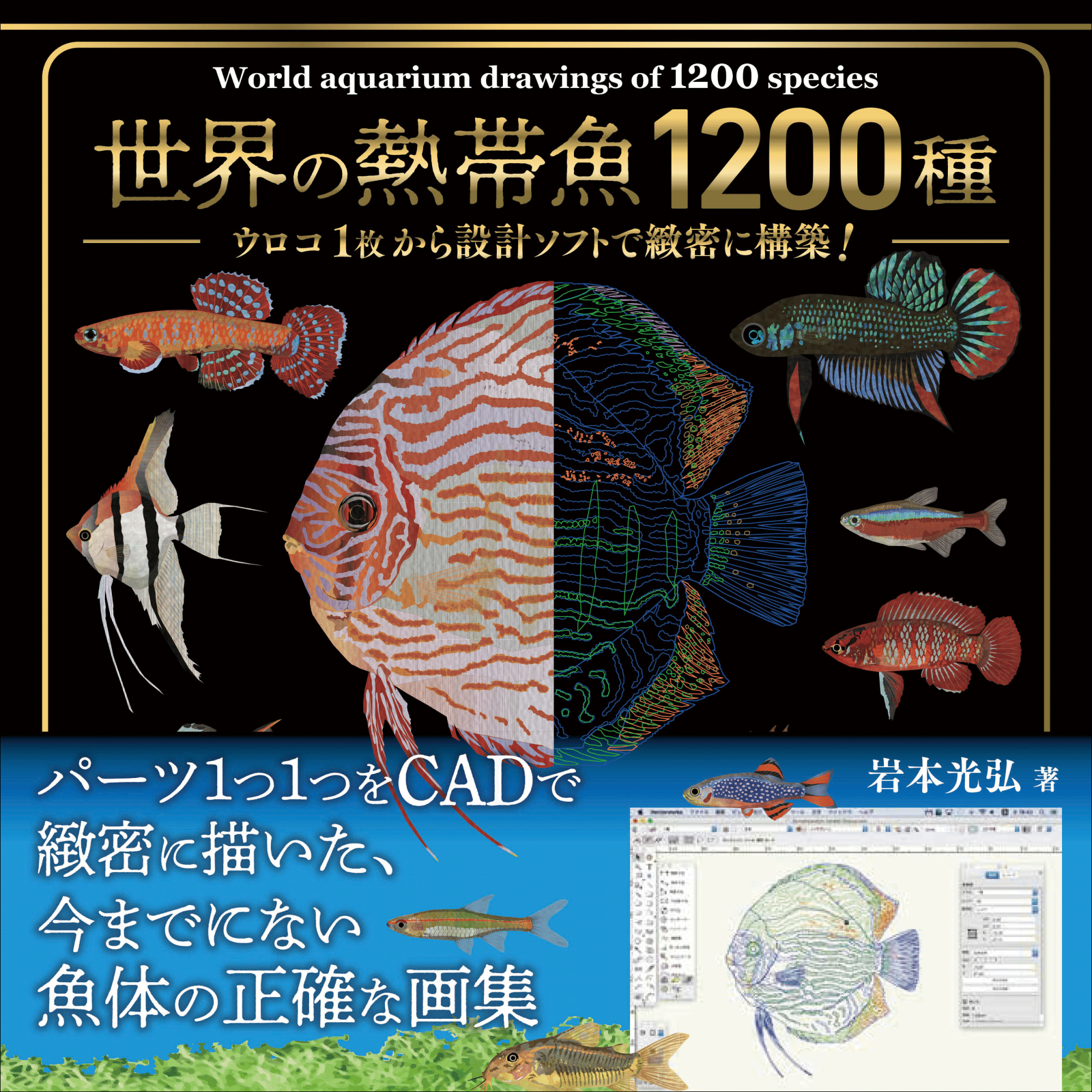 熱帯魚の魚体を正確に描いた画集『世界の熱帯魚1200種』11月発売