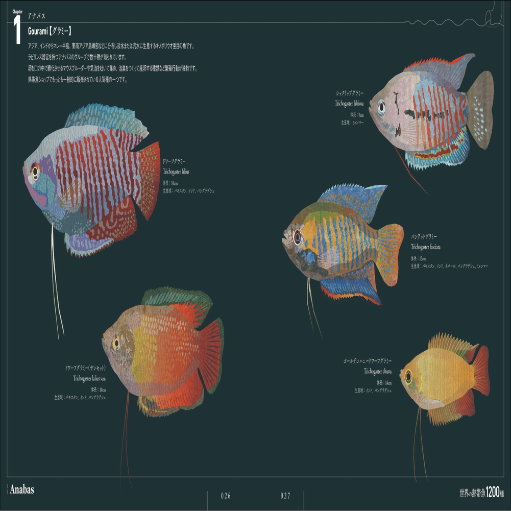 熱帯魚の魚体を正確に描いた画集『世界の熱帯魚1200種』11月発売
