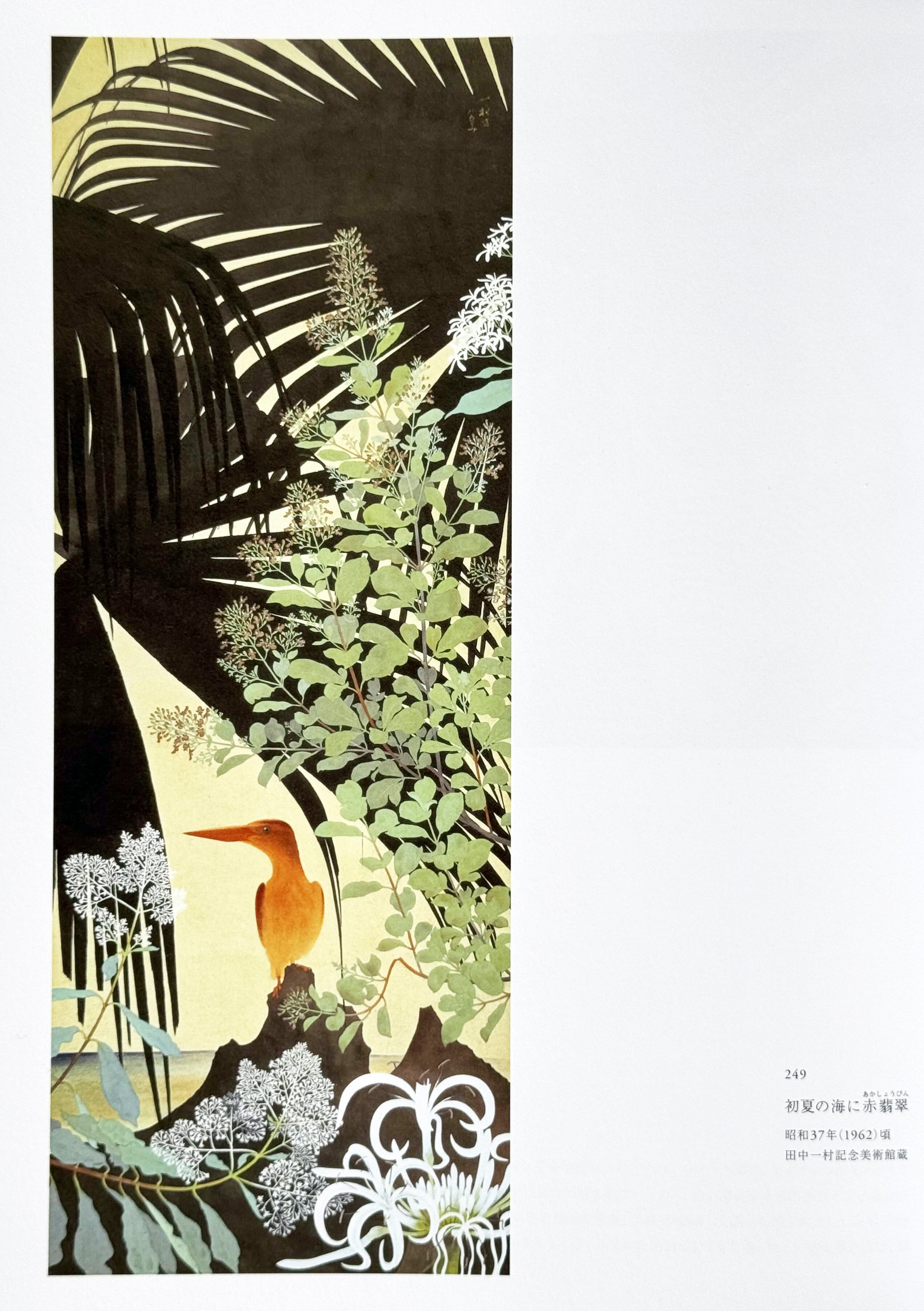 美術展2024#85】田中一村展 奄美の光 魂の絵画＠東京都美術館｜mata