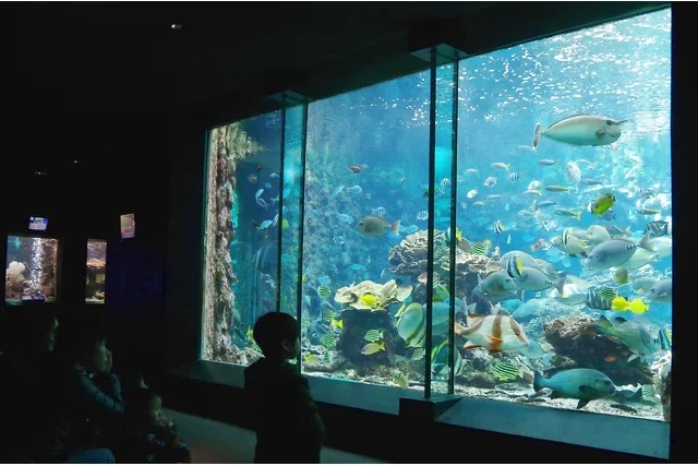 串本海中公園「水族館+海中展望塔」