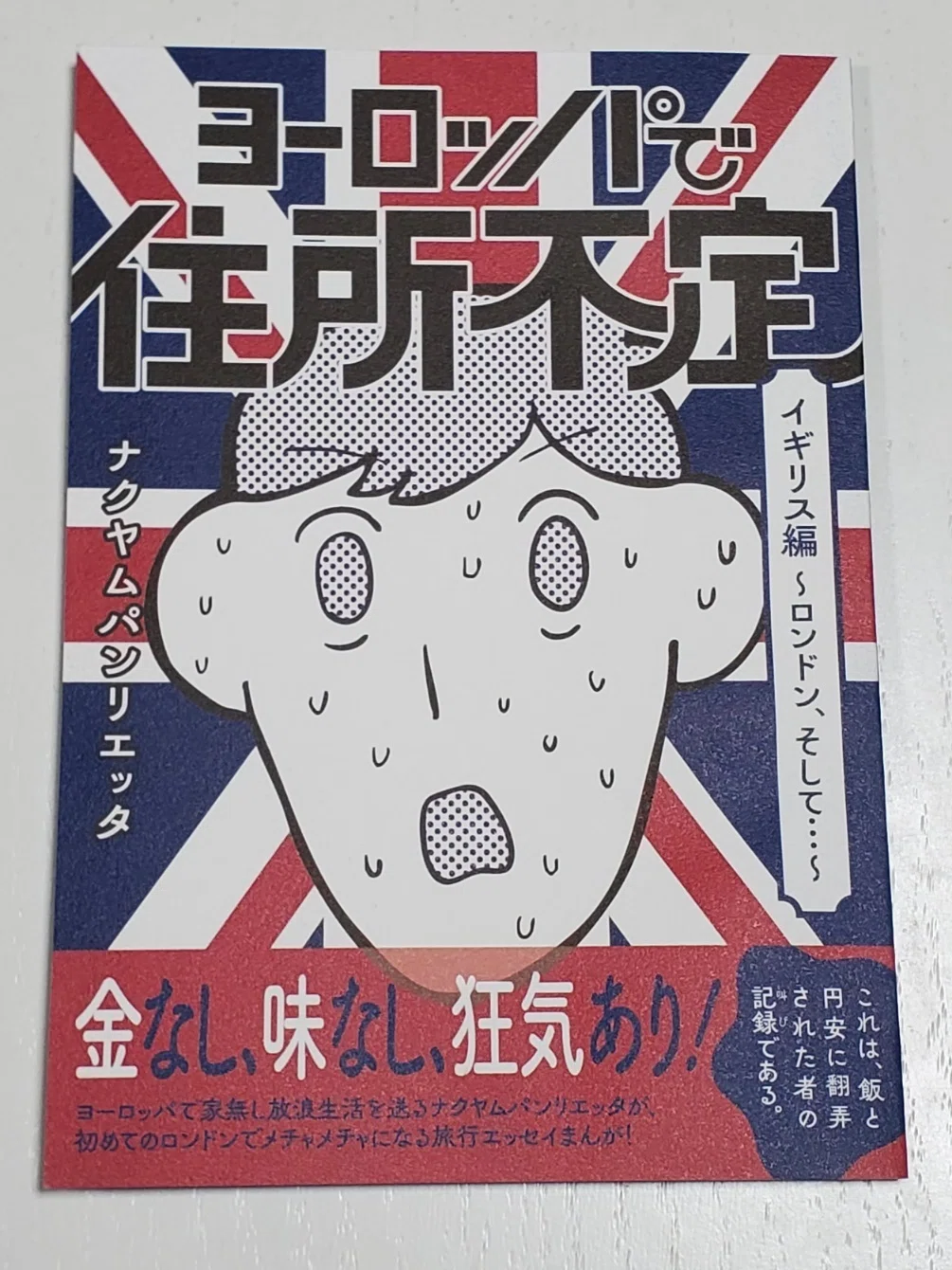 日記】適当なスープカレー、コミティアで買った本の感想｜みすれは