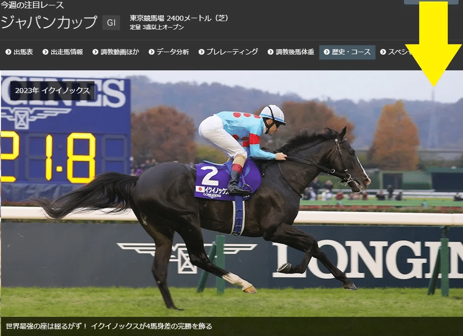 【現地観戦馬券】2020年　ジャパンカップ　1,2,3着馬券 現地観戦馬券】2020年 ジャパンカップ 1,2,3着馬券 2020年