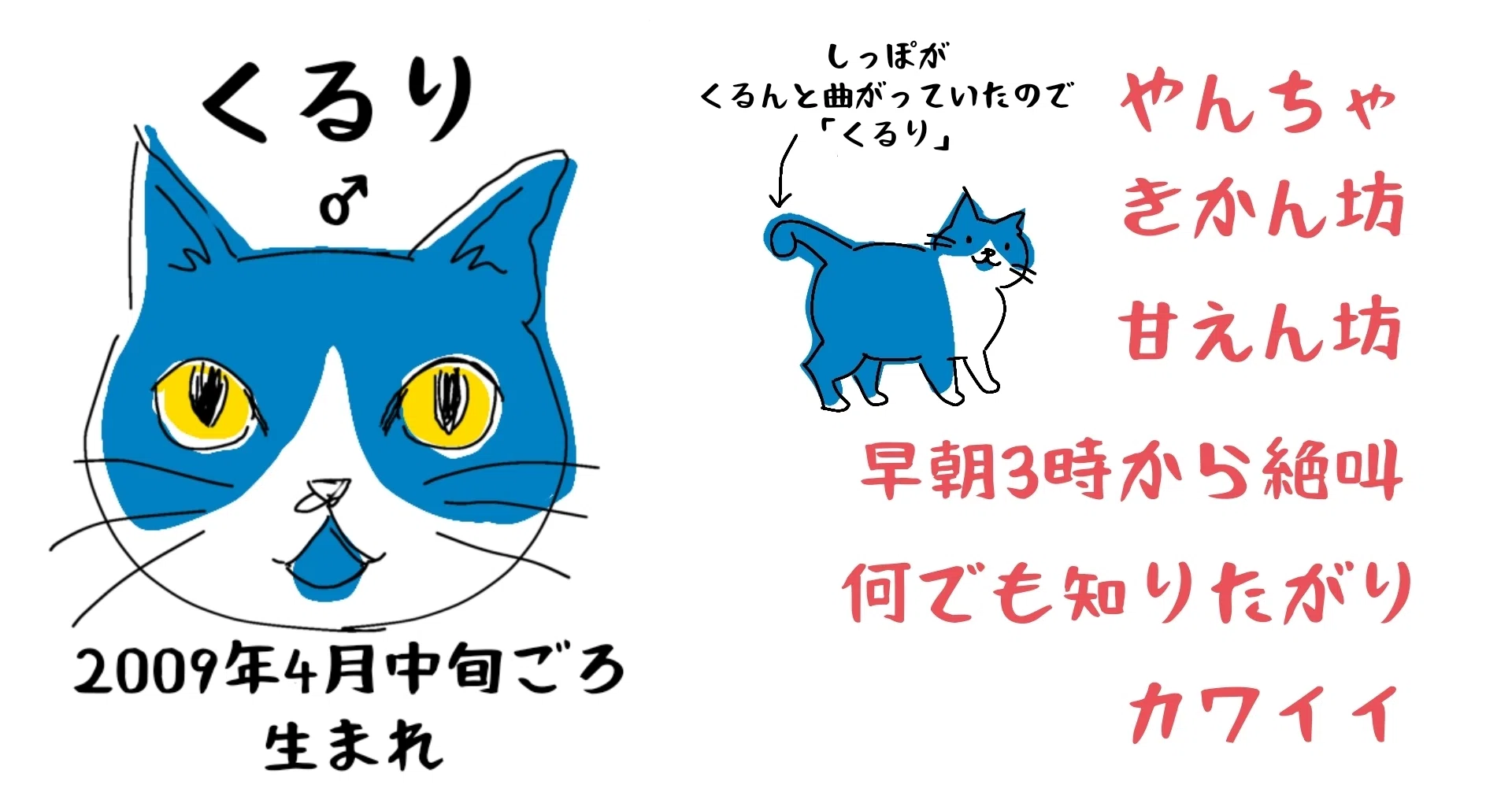 自己紹介】「くるろく〜猫らとの平凡な日常」｜くるコト(K807)