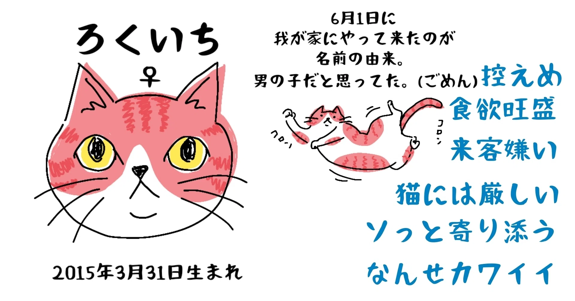 自己紹介】「くるろく〜猫らとの平凡な日常」｜くるコト(K807)