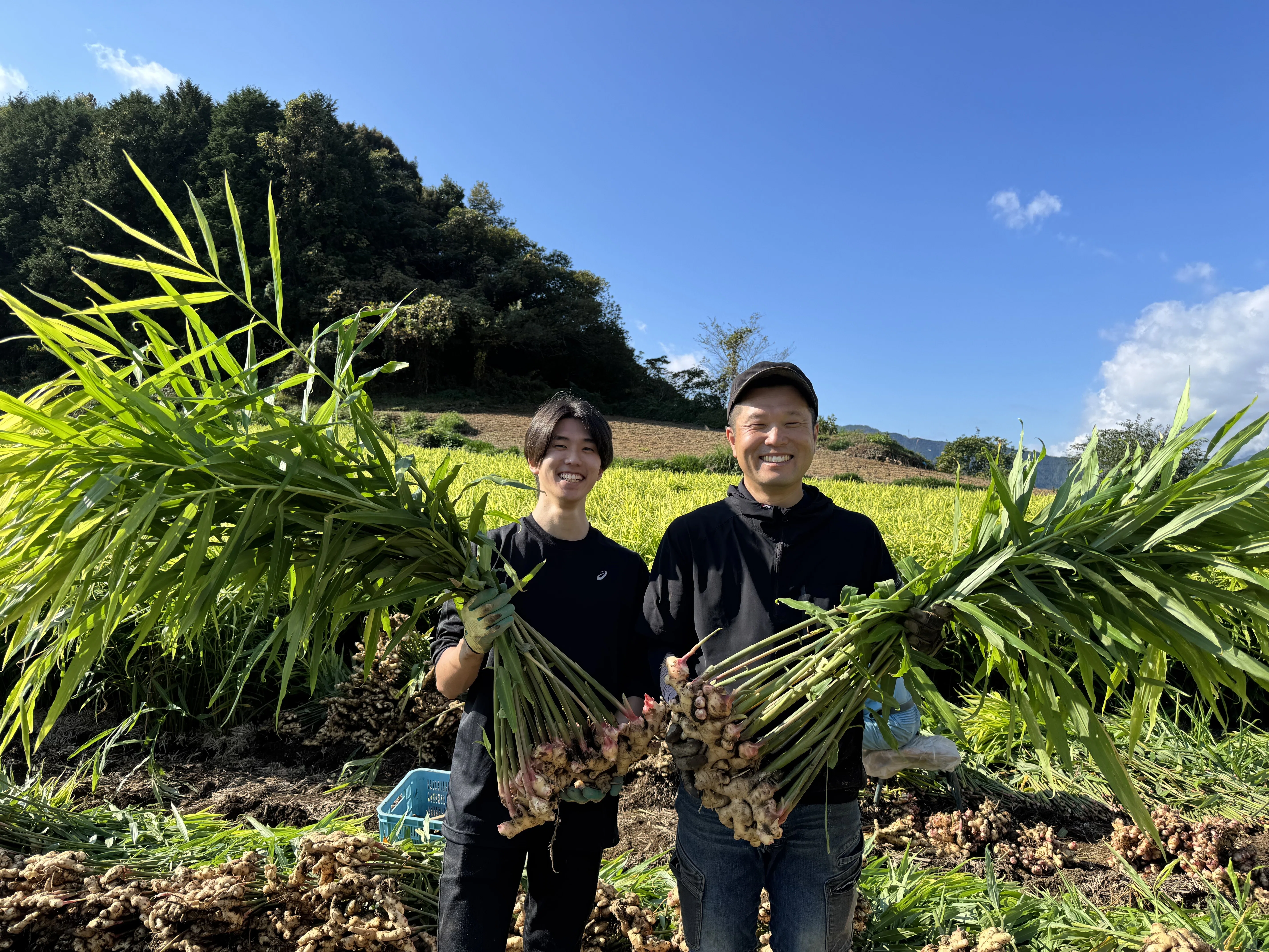 生姜の収穫体験🍀農家の皆様に感謝！｜(株)あさの@生姜屋／高知県