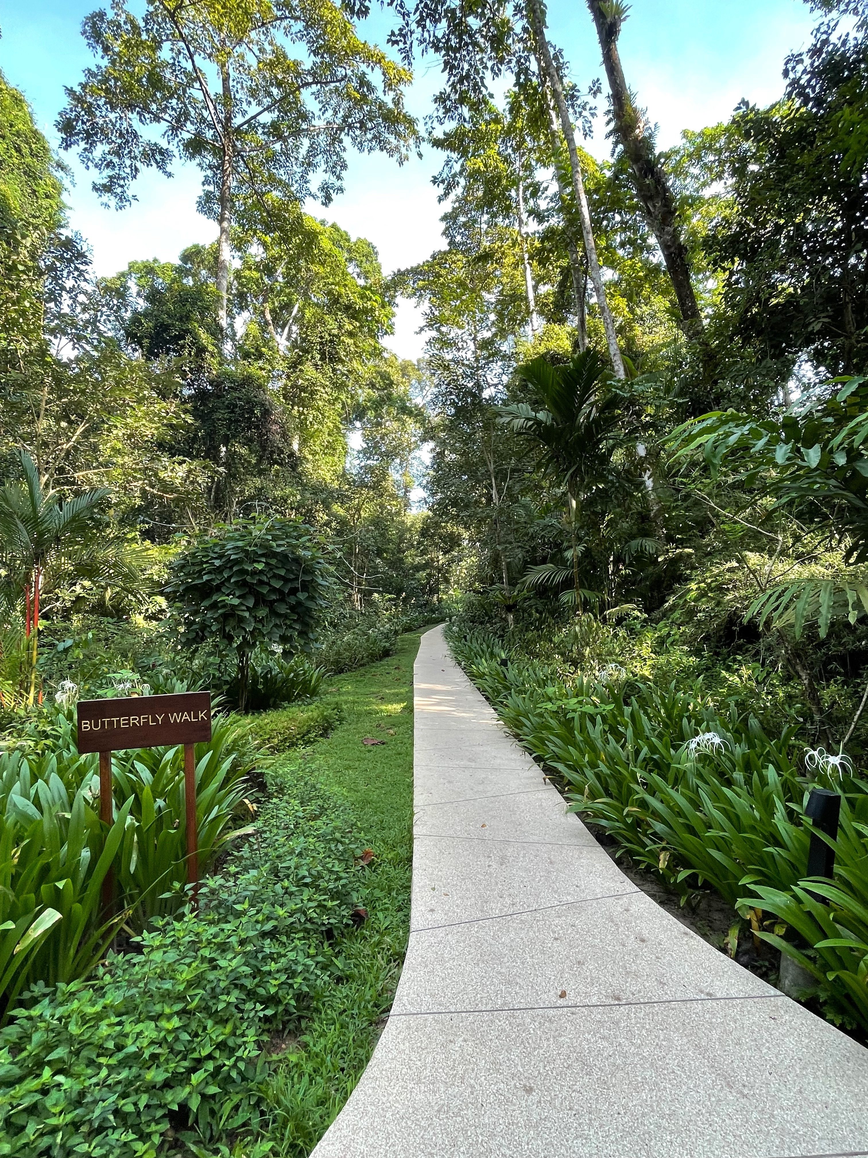 The Jewel of Kedah ランカウイ島 マレーシア パステル画 Kajiya.yoshida | River's hidden jewel ✨ 川の宝石✨ Japanese