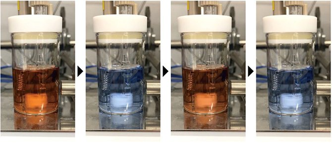 生命を駆動する現象・「化学振動」を制御し、新しい化学の地平を 生命を駆動する現象・「化学振動」を制御し、新しい化学の地平を