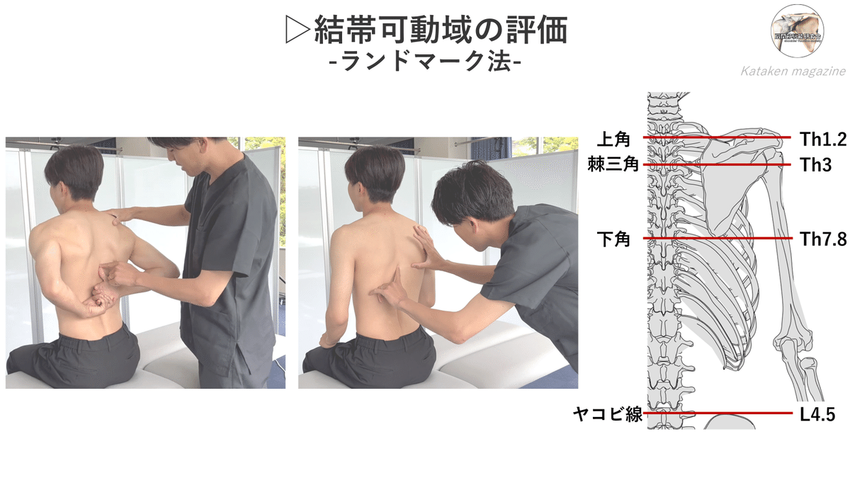 全身運動からみる肩関節の評価 Amazon.co.jp: 全身運動からみる肩関節の評価～肩関節疾患の
