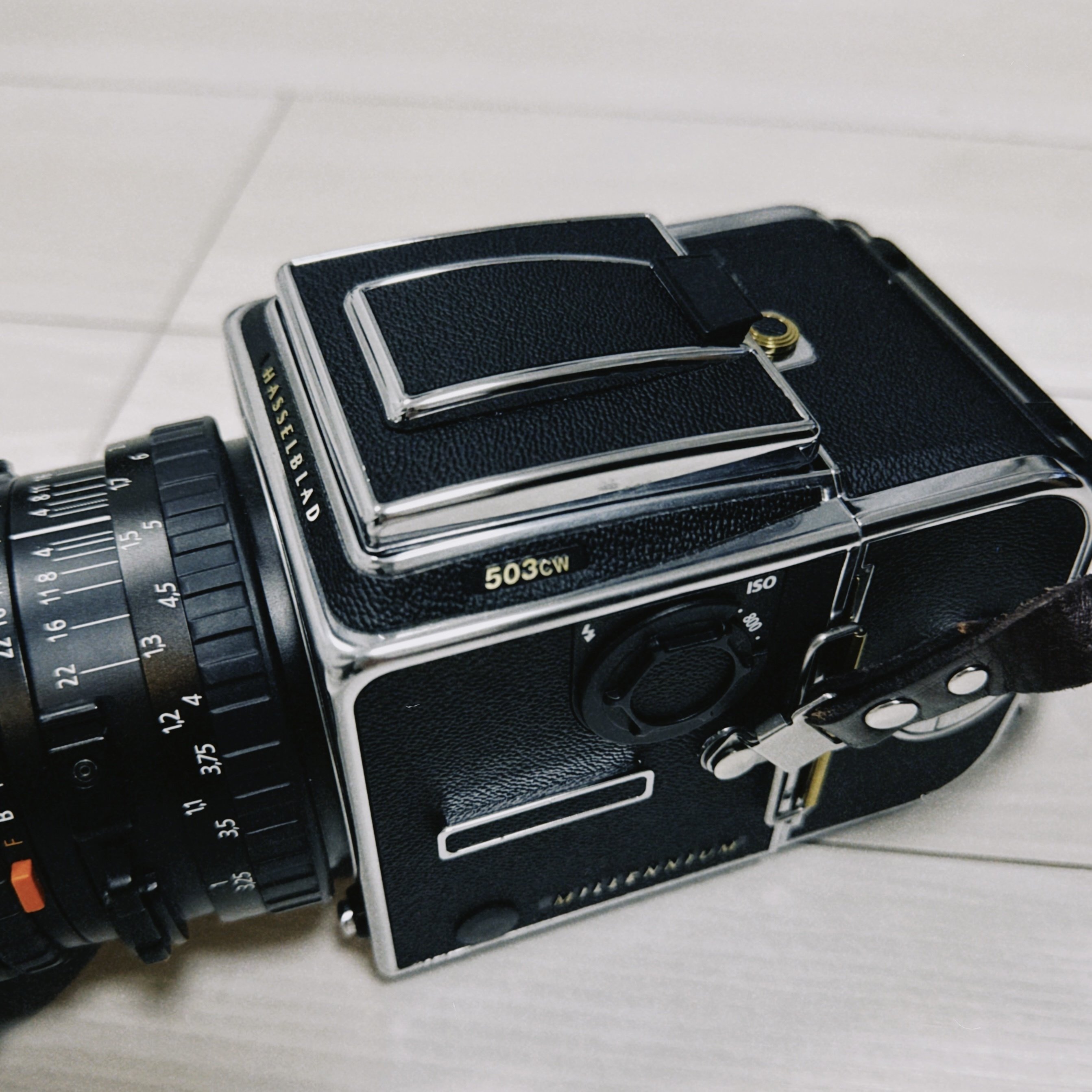 新しいスタイル はじめてのHASSELBLAD503CW｜村田雄平 フィルムカメラ