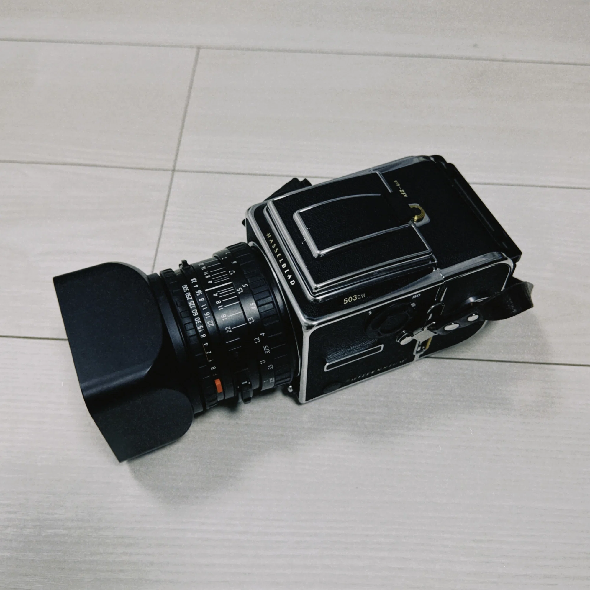 はじめてのHASSELBLAD503CW｜村田雄平