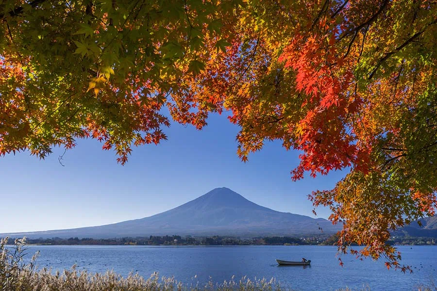 錦秋をまとう富士山【α7R4+2070G】｜borichan | 旅するカメラ